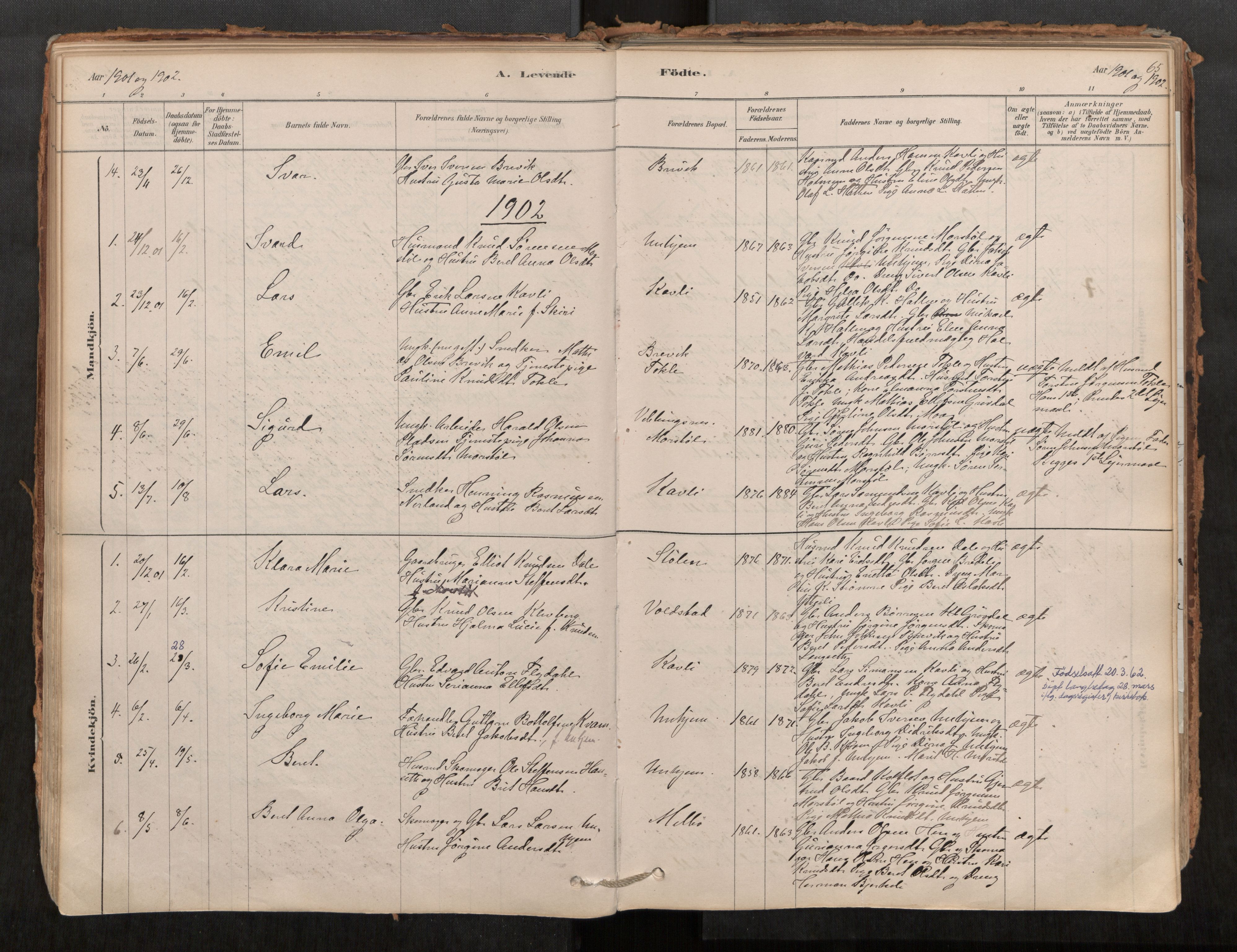 Ministerialprotokoller, klokkerbøker og fødselsregistre - Møre og Romsdal, AV/SAT-A-1454/545/L0594: Parish register (official) no. 545A03, 1878-1920, p. 65