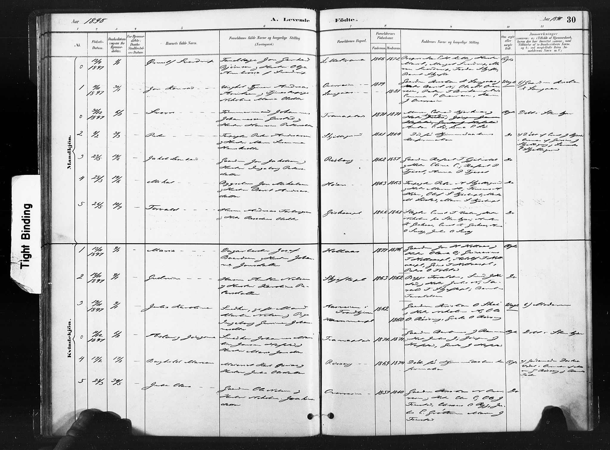 Ministerialprotokoller, klokkerbøker og fødselsregistre - Nord-Trøndelag, SAT/A-1458/736/L0361: Parish register (official) no. 736A01, 1884-1906, p. 30
