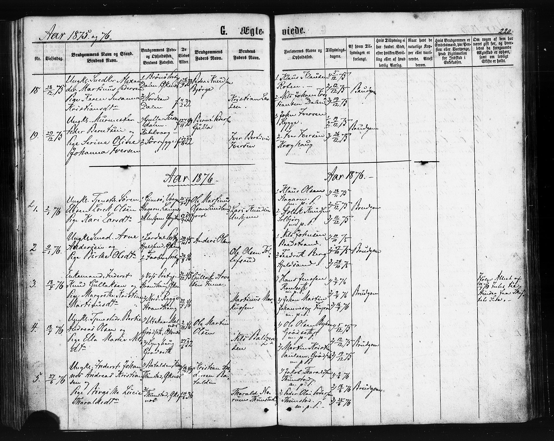 Ministerialprotokoller, klokkerbøker og fødselsregistre - Nordland, SAT/A-1459/893/L1334: Parish register (official) no. 893A07, 1867-1877, p. 220