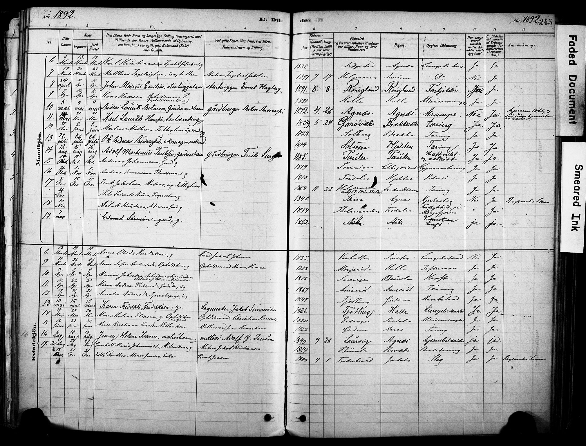 Brunlanes kirkebøker, AV/SAKO-A-342/F/Fc/L0001: Parish register (official) no. III 1, 1878-1899, p. 245