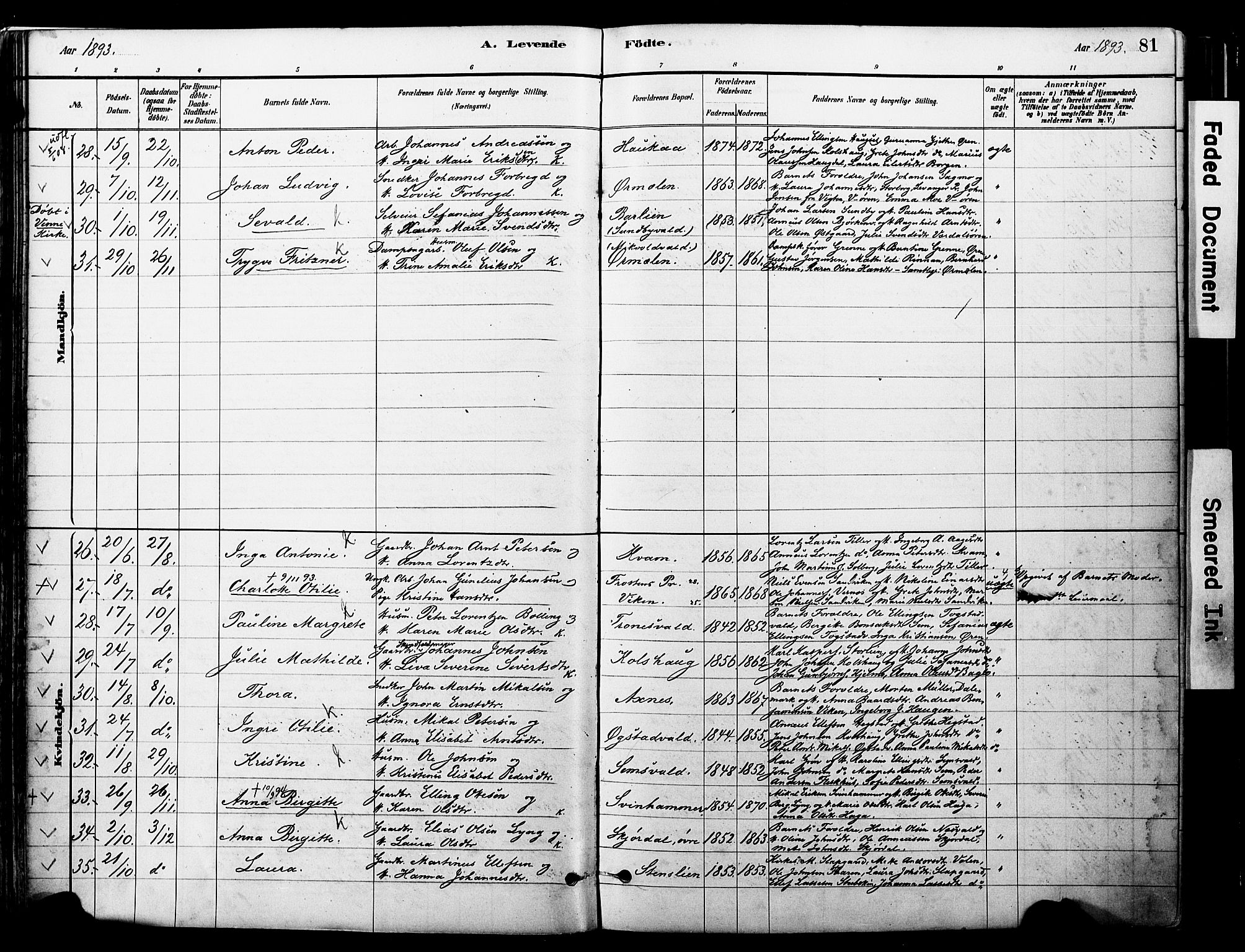 Ministerialprotokoller, klokkerbøker og fødselsregistre - Nord-Trøndelag, SAT/A-1458/723/L0244: Parish register (official) no. 723A13, 1881-1899, p. 81