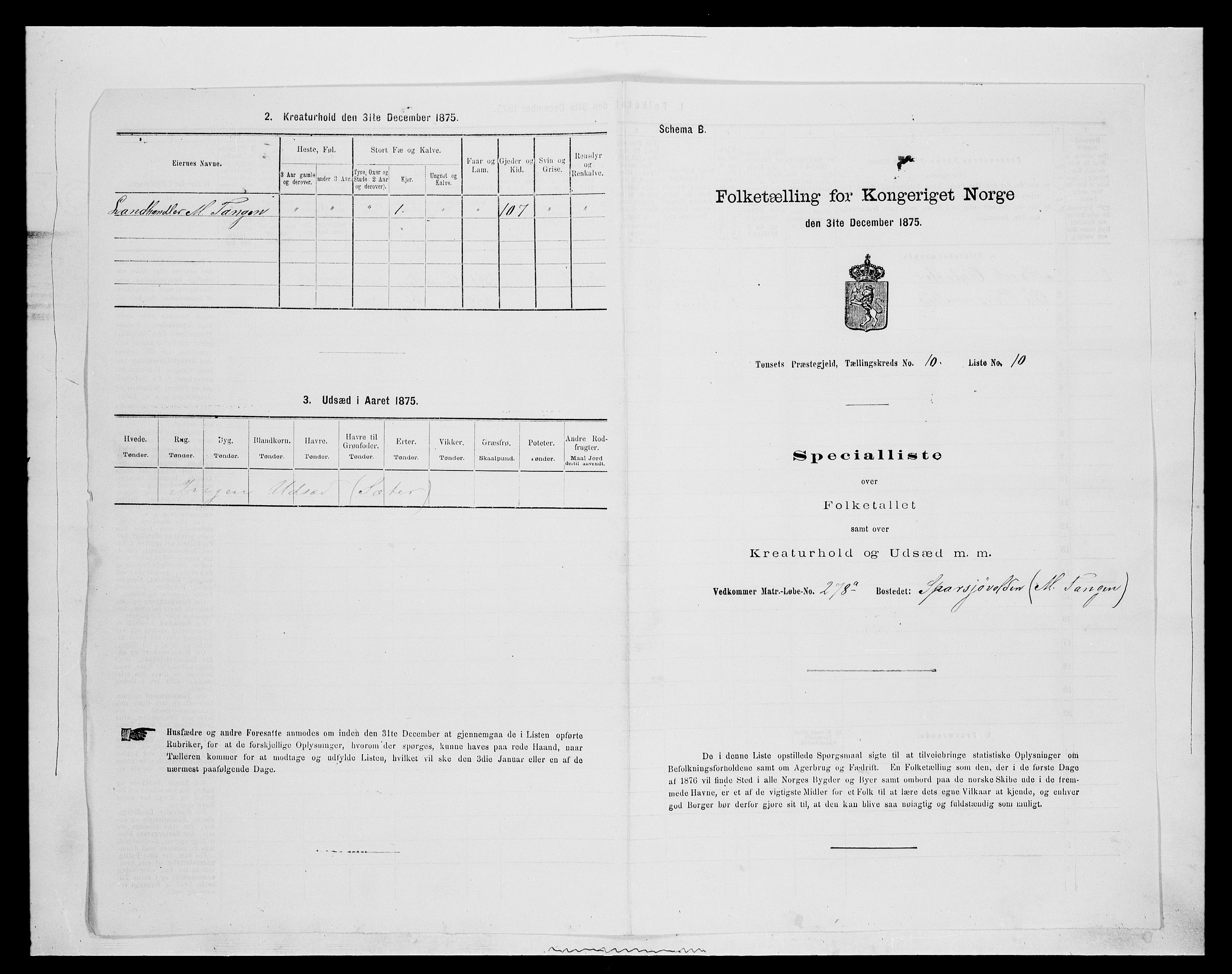 SAH, 1875 census for 0437P Tynset, 1875, p. 982