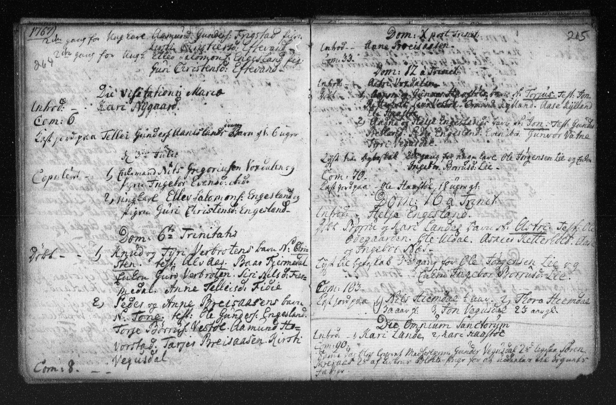 Herefoss sokneprestkontor, AV/SAK-1111-0019/F/Fa/Fab/L0001: Parish register (official) no. A 1, 1704-1779, p. 264-265