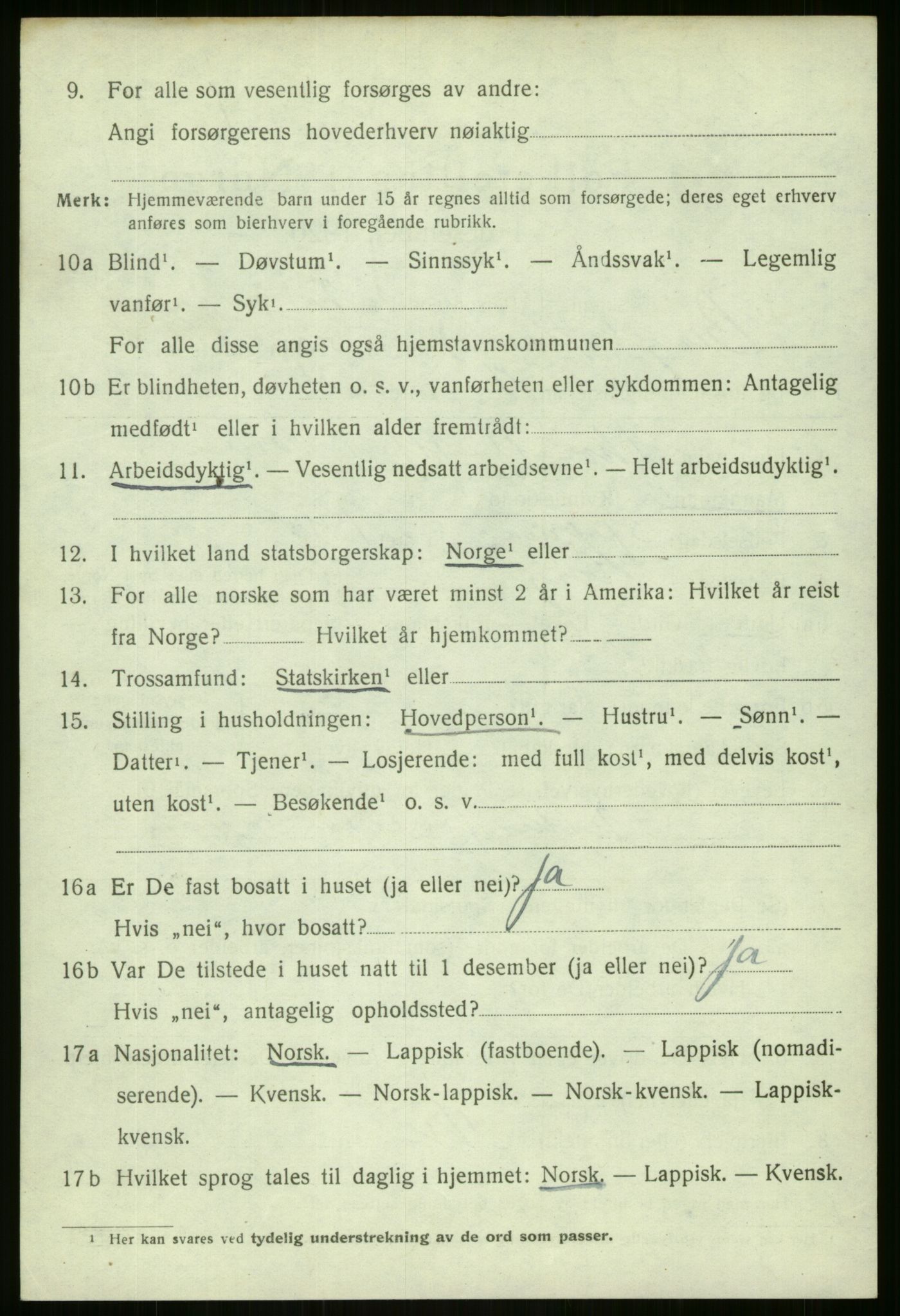 SATØ, 1920 census for Berg, 1920, p. 1243