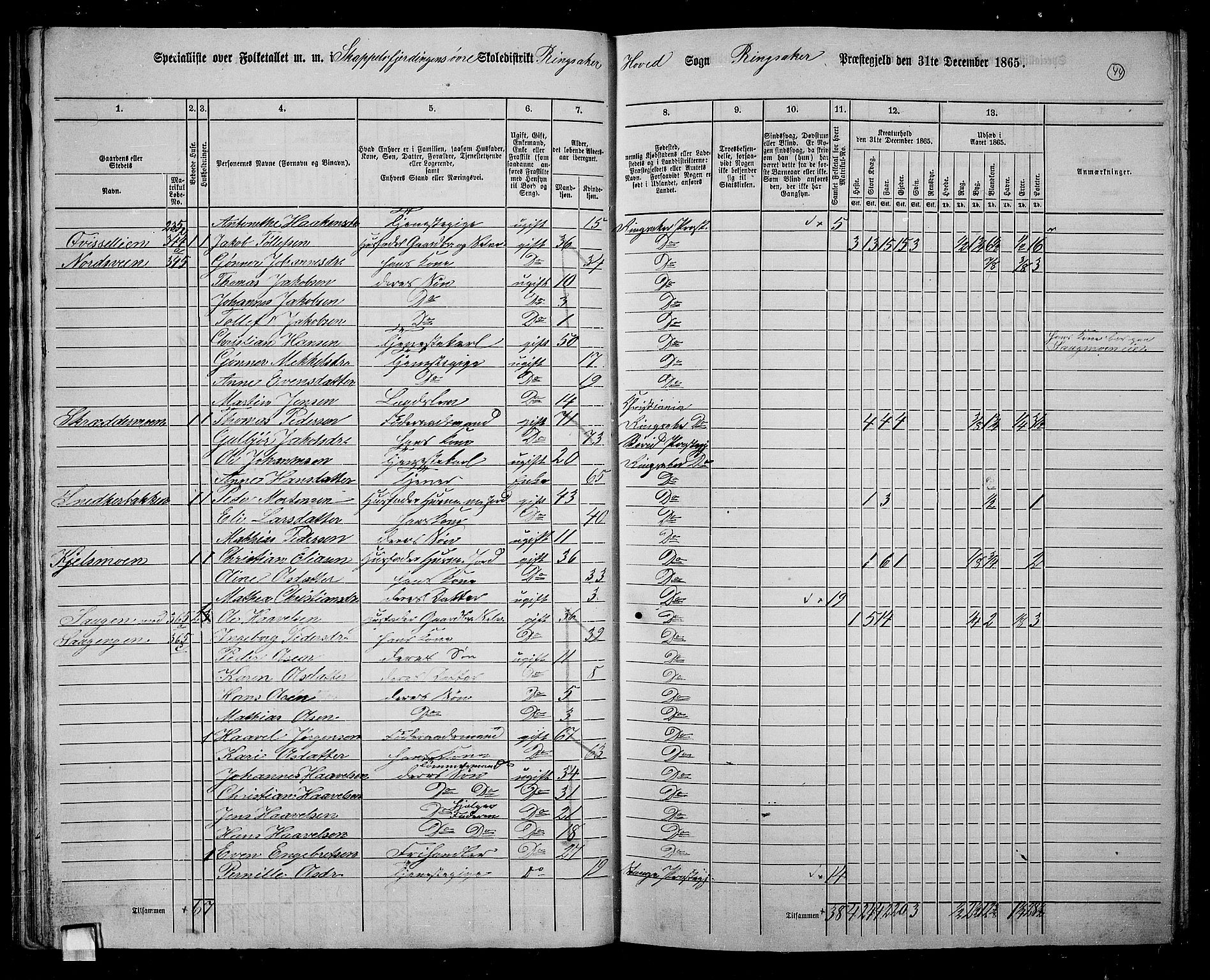 RA, 1865 census for Ringsaker, 1865, p. 301