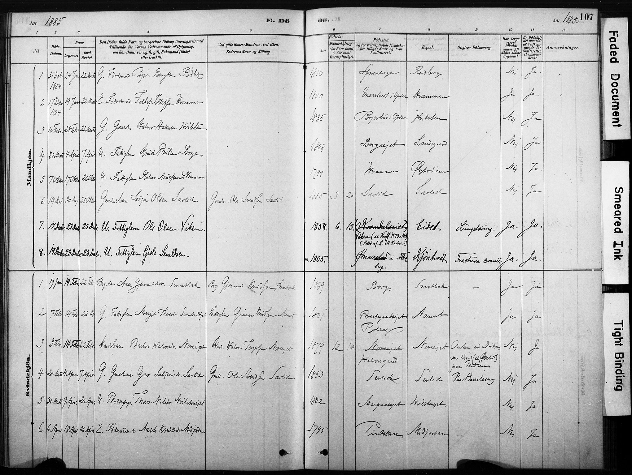 Nore kirkebøker, SAKO/A-238/F/Fb/L0001: Parish register (official) no. II 1, 1878-1886, p. 107