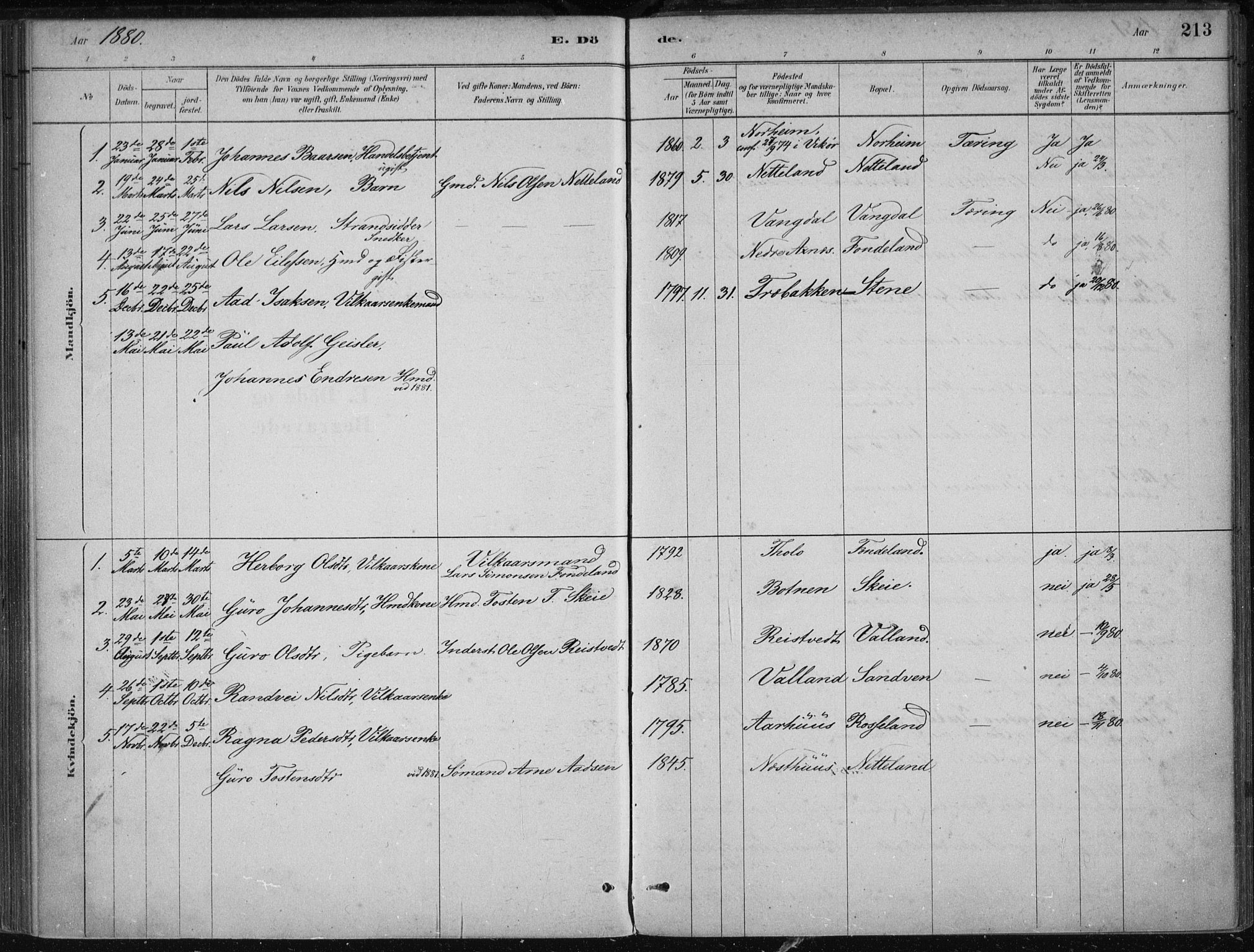 Kvam sokneprestembete, SAB/A-76201/H/Haa: Parish register (official) no. B  1, 1880-1908, p. 213