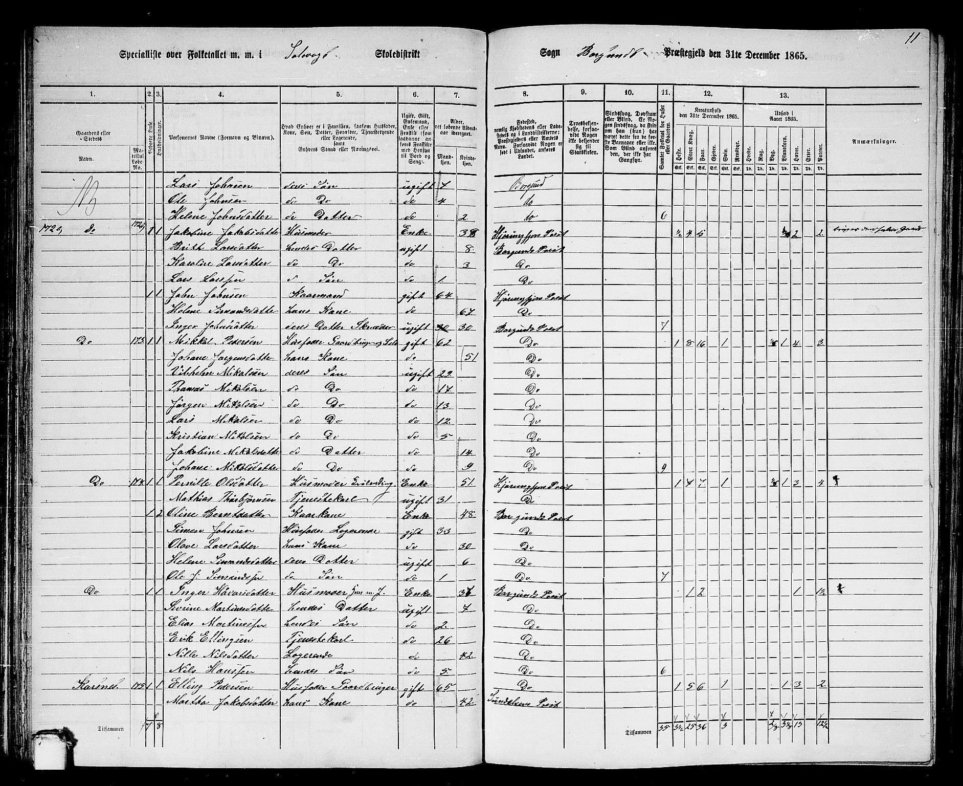 RA, 1865 census for Borgund, 1865, p. 93