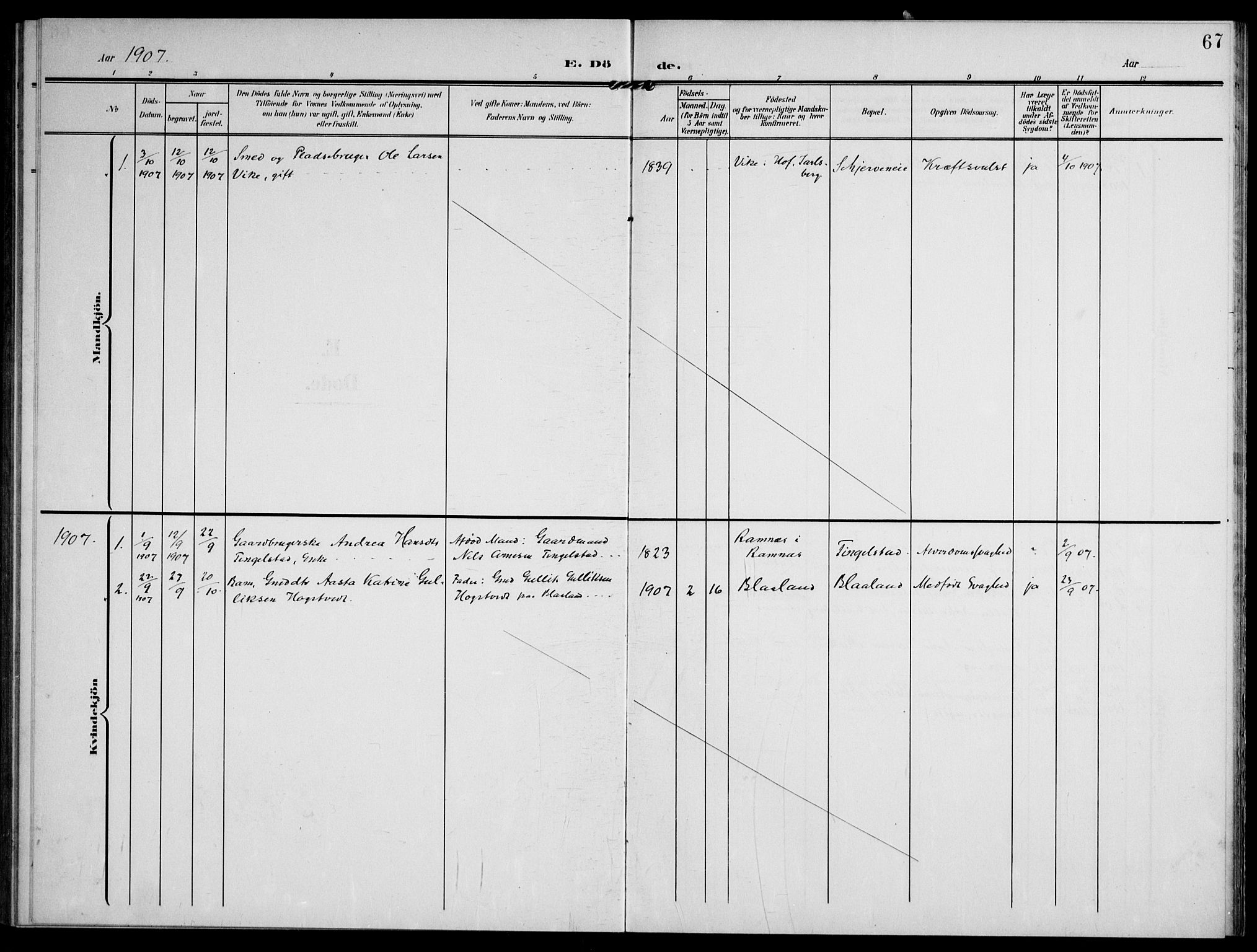 Lardal kirkebøker, SAKO/A-350/F/Fc/L0002: Parish register (official) no. III 2, 1907-1921, p. 67