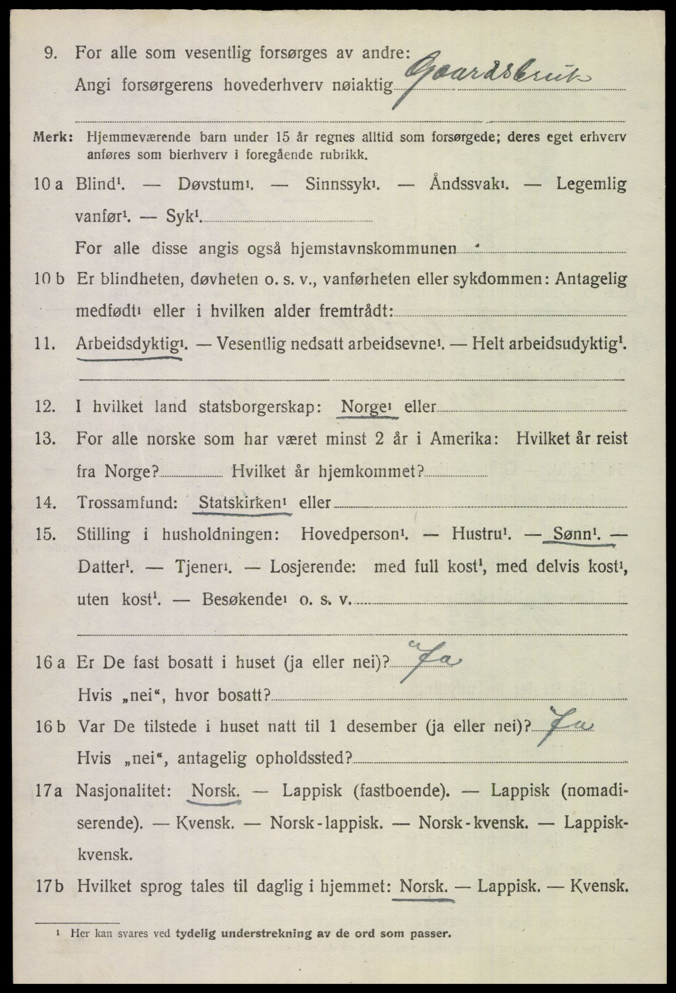 SAT, 1920 census for Saltdal, 1920, p. 6426