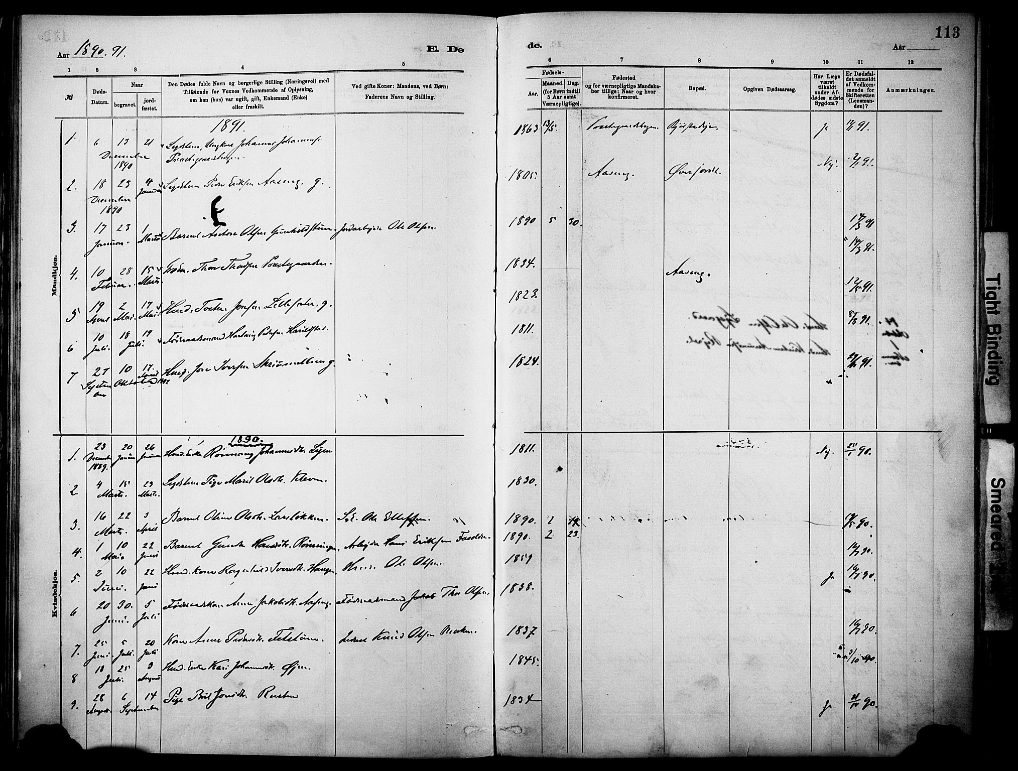 Vågå prestekontor, SAH/PREST-076/H/Ha/Haa/L0010: Parish register (official) no. 10, 1887-1904, p. 113