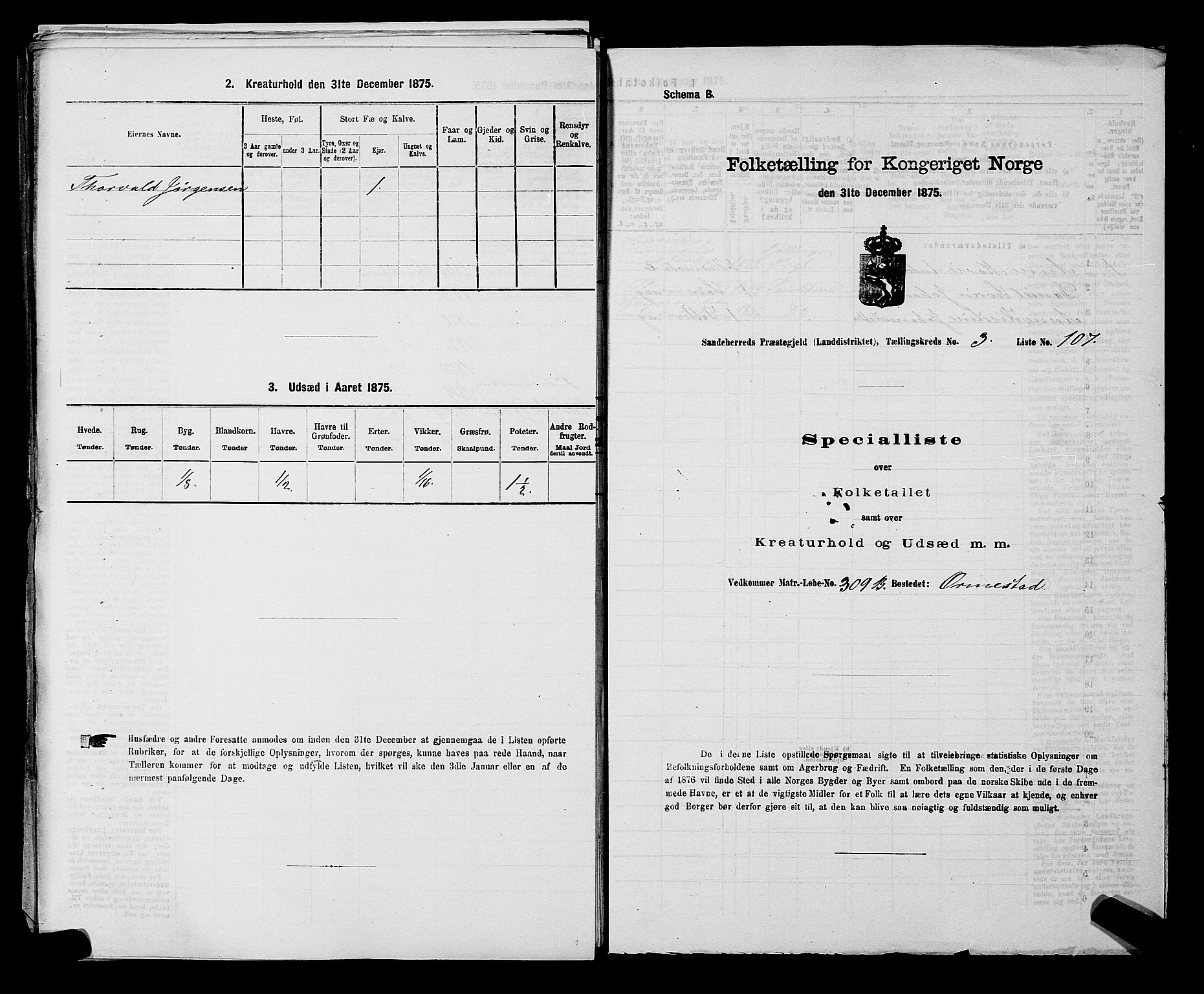 SAKO, 1875 census for 0724L Sandeherred/Sandeherred, 1875, p. 913