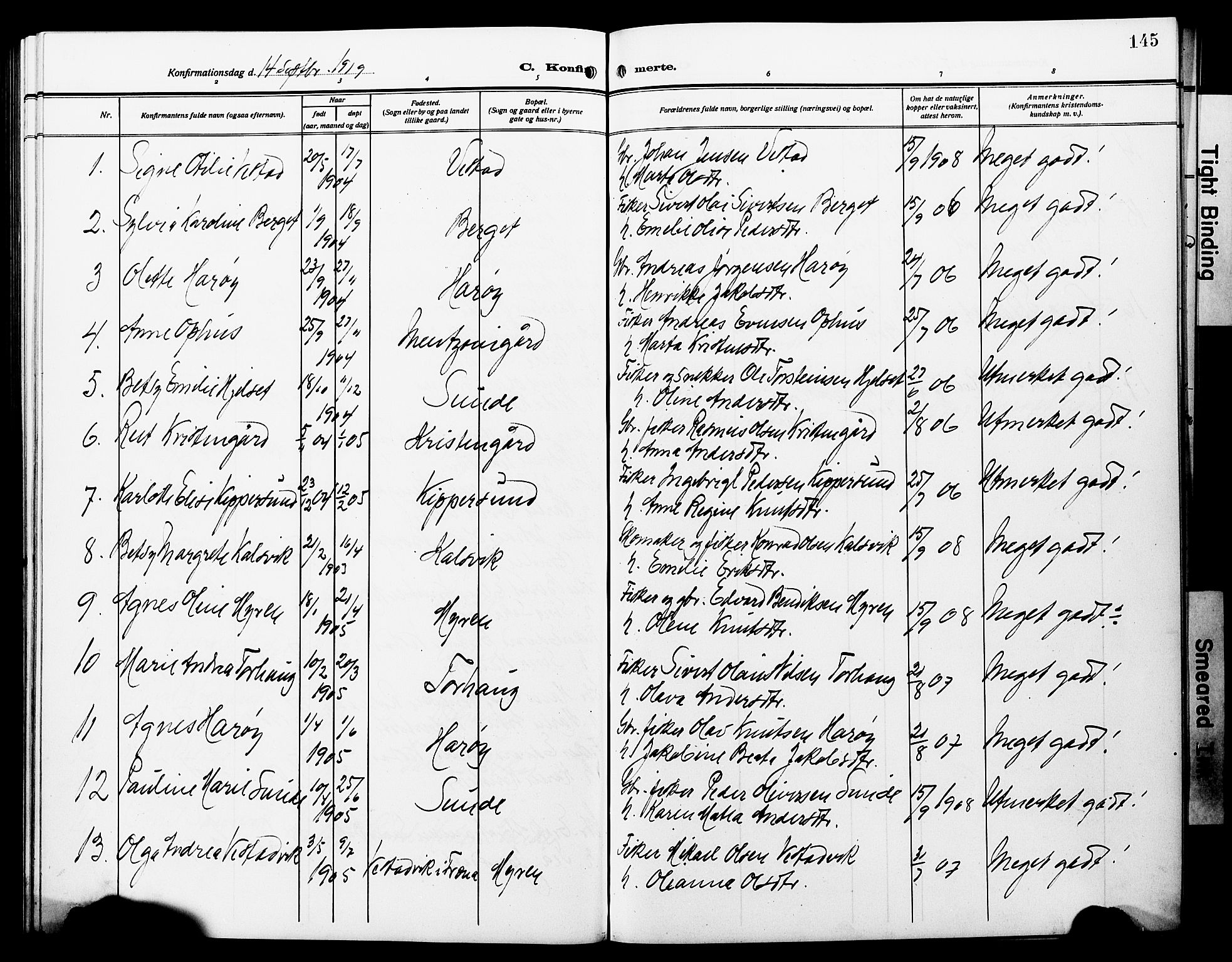 Ministerialprotokoller, klokkerbøker og fødselsregistre - Møre og Romsdal, AV/SAT-A-1454/566/L0774: Parish register (copy) no. 566C03, 1910-1929, p. 145