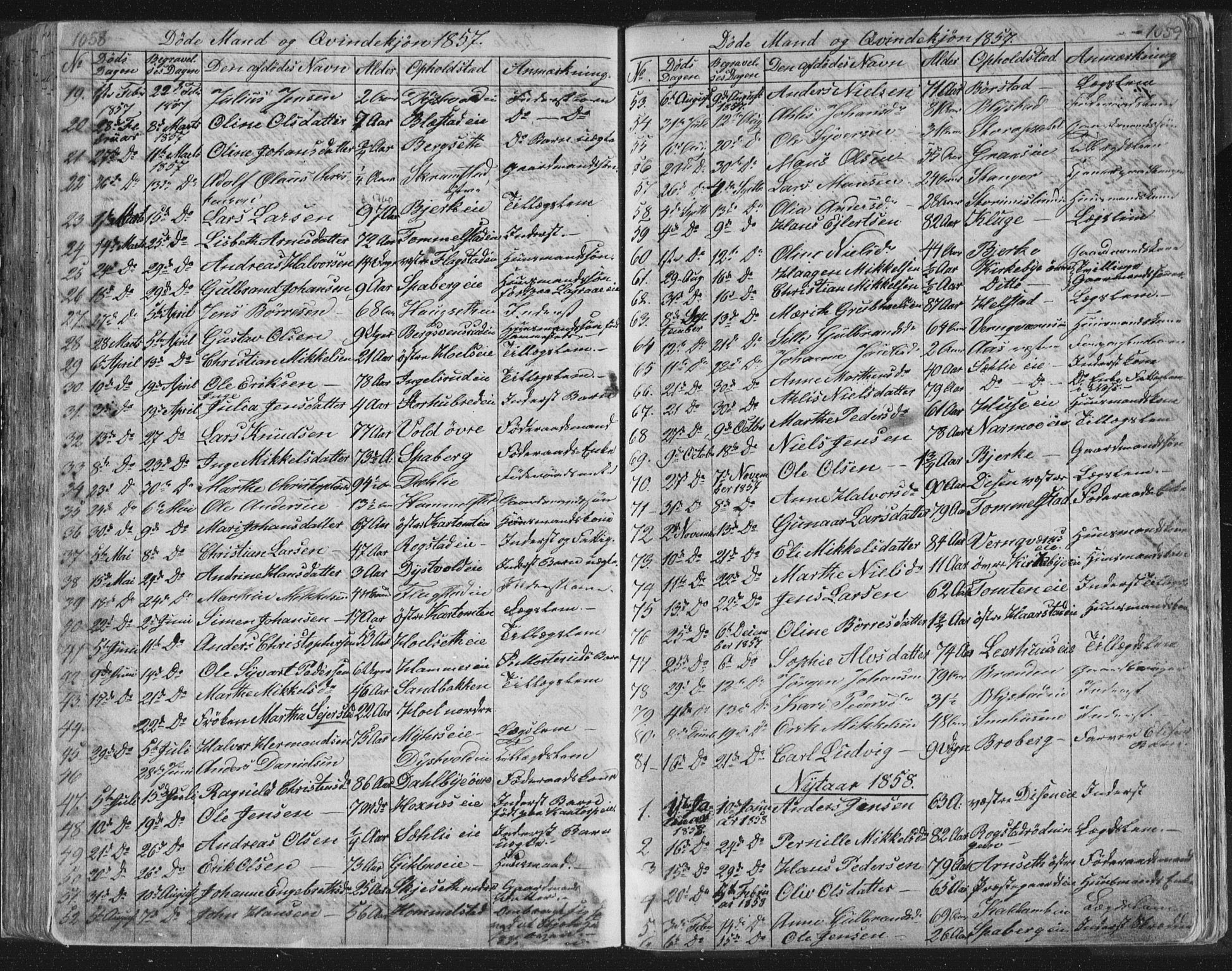 Vang prestekontor, Hedmark, SAH/PREST-008/H/Ha/Hab/L0010B: Parish register (copy) no. 10b, 1854-1896, p. 1058-1059