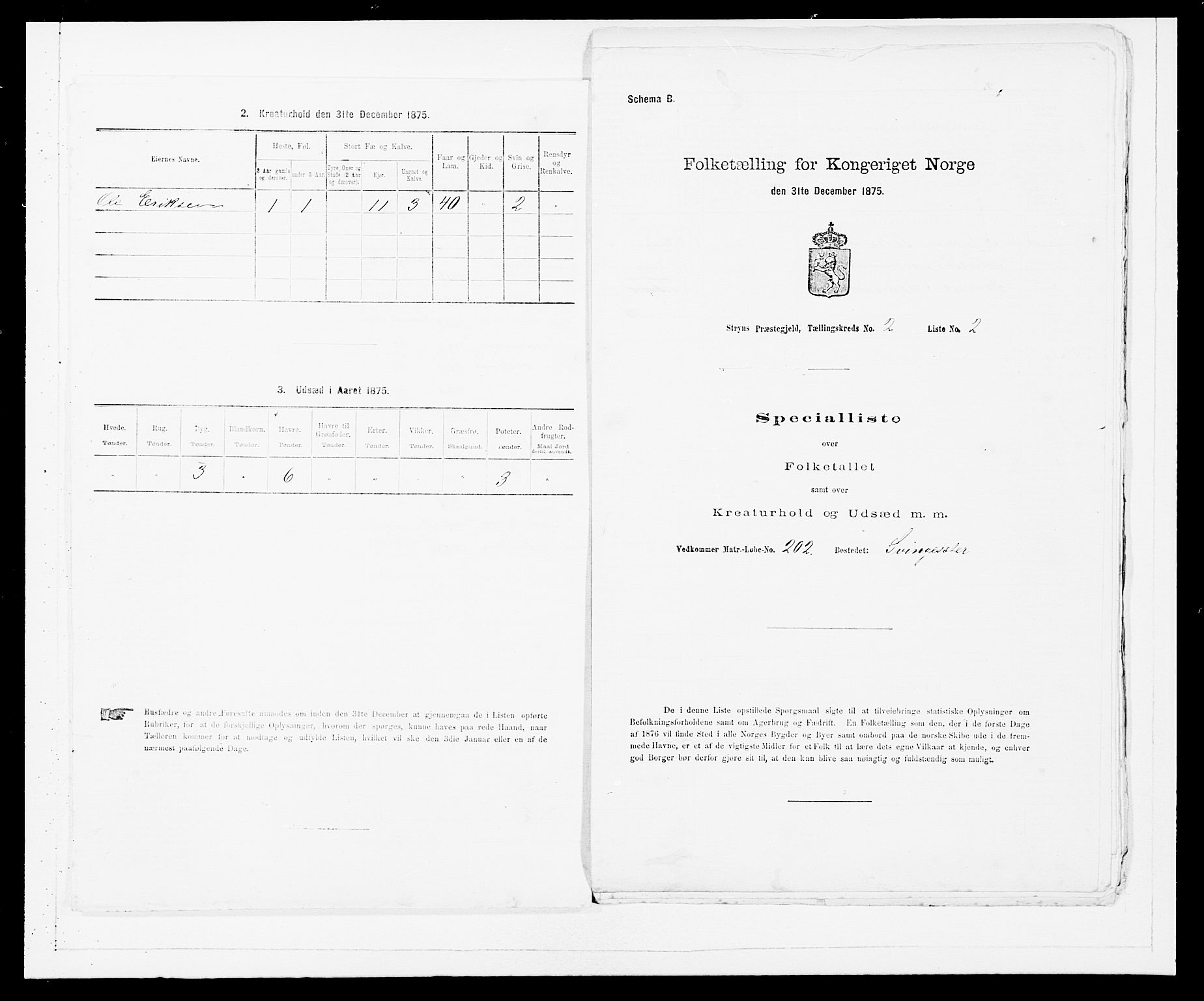 SAB, 1875 Census for 1448P Stryn, 1875, p. 80