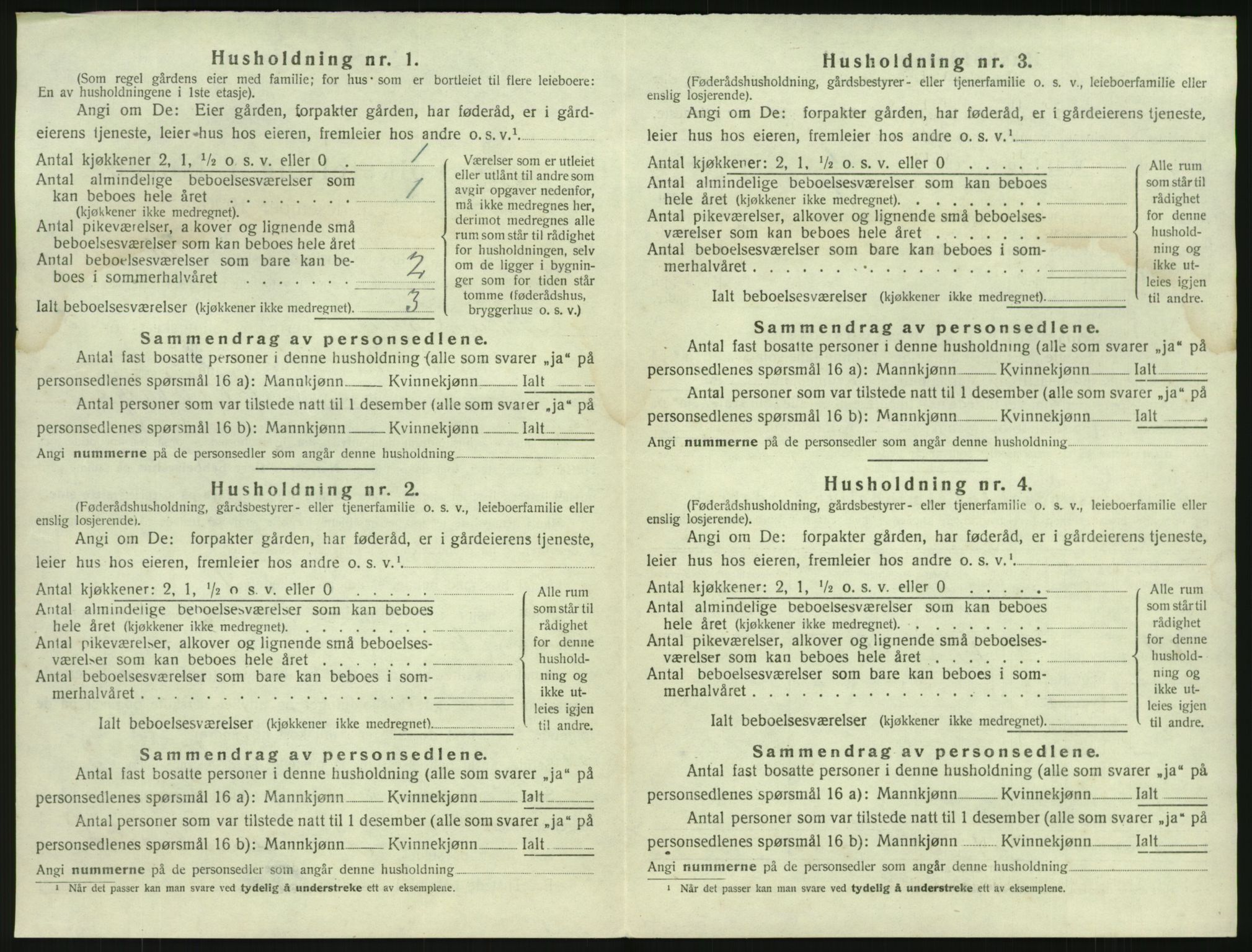 SAKO, 1920 census for Brunlanes, 1920, p. 862