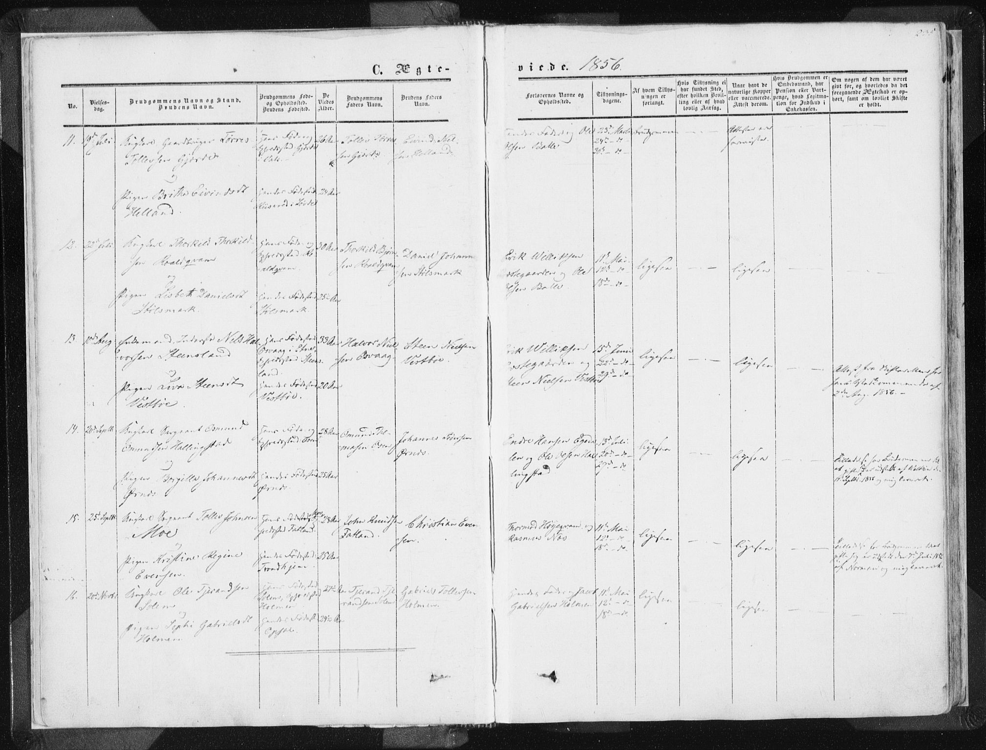 Vikedal sokneprestkontor, AV/SAST-A-101840/01/IV: Parish register (official) no. A 6.2, 1851-1867, p. 235