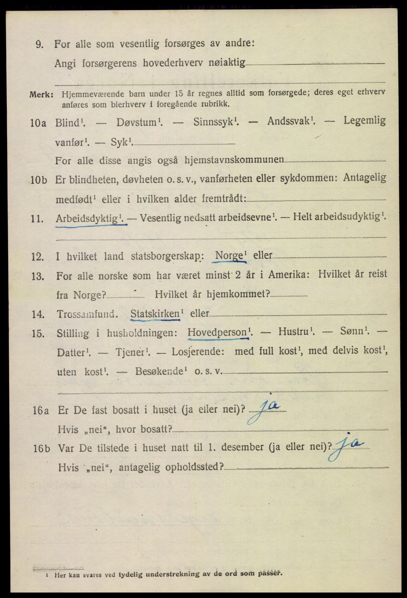 SAK, 1920 census for Hornnes, 1920, p. 1174