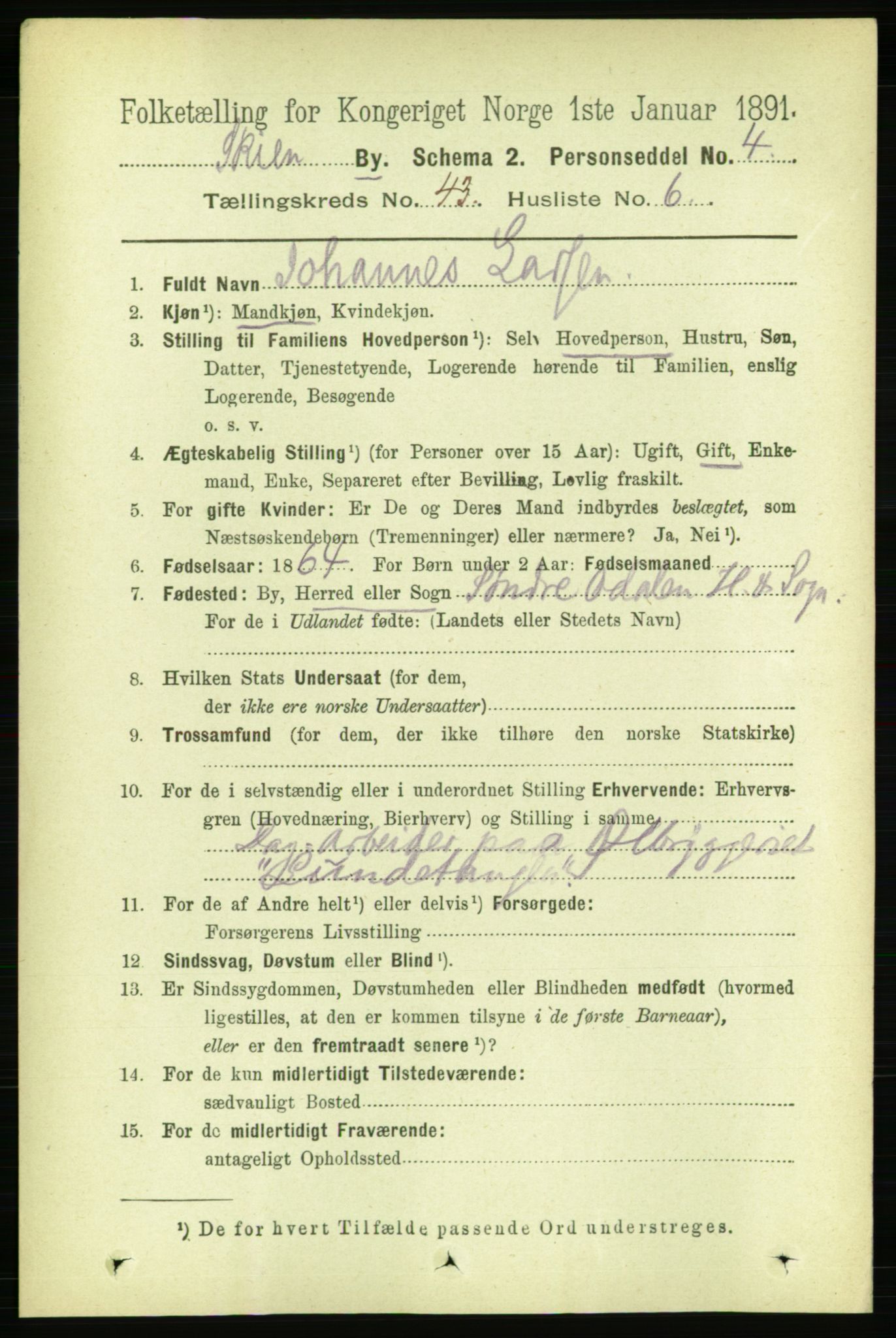 RA, 1891 census for 0806 Skien, 1891, p. 8619