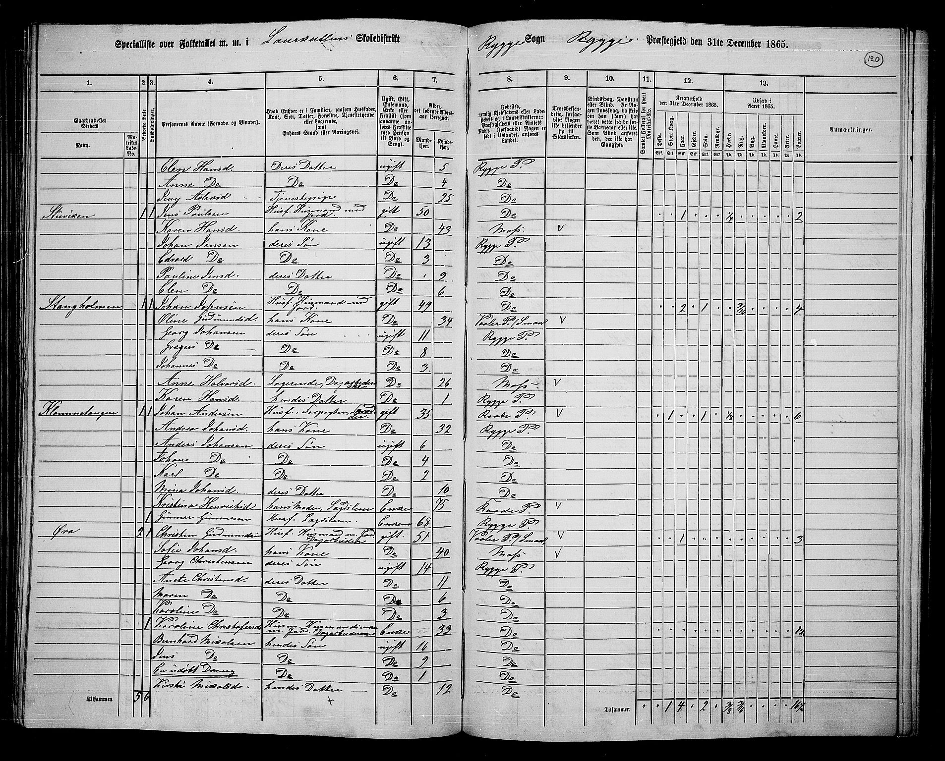 RA, 1865 census for Rygge, 1865, p. 64