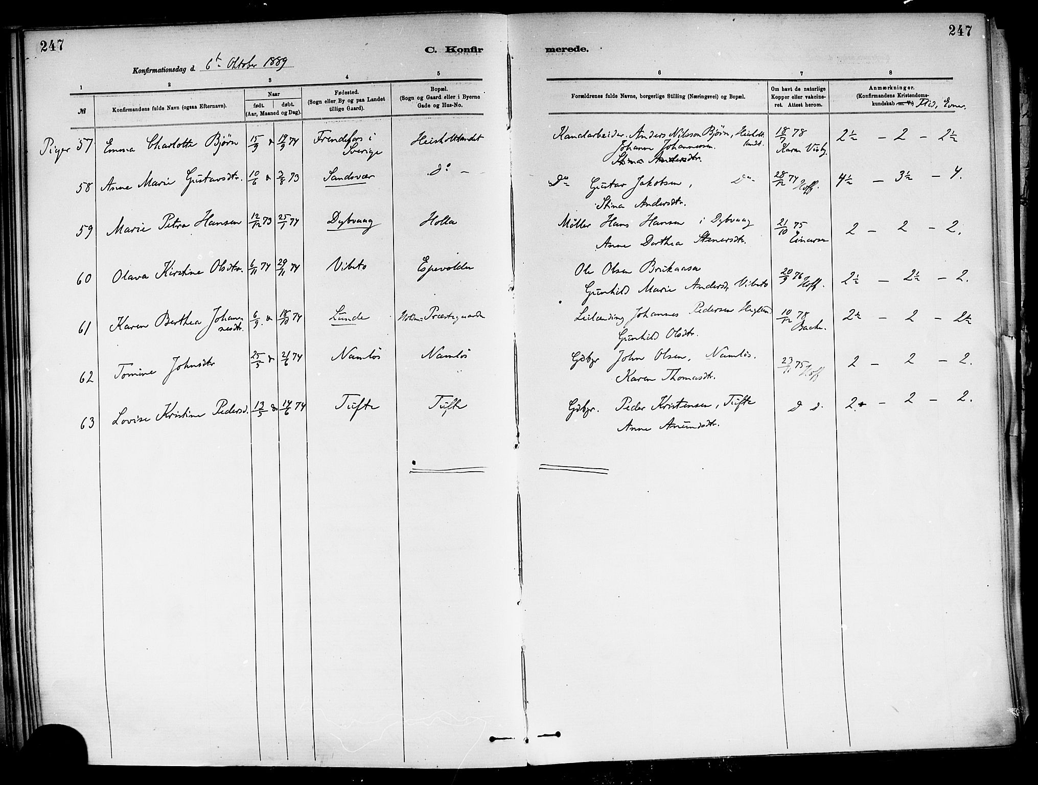 Holla kirkebøker, SAKO/A-272/F/Fa/L0008: Parish register (official) no. 8, 1882-1897, p. 247