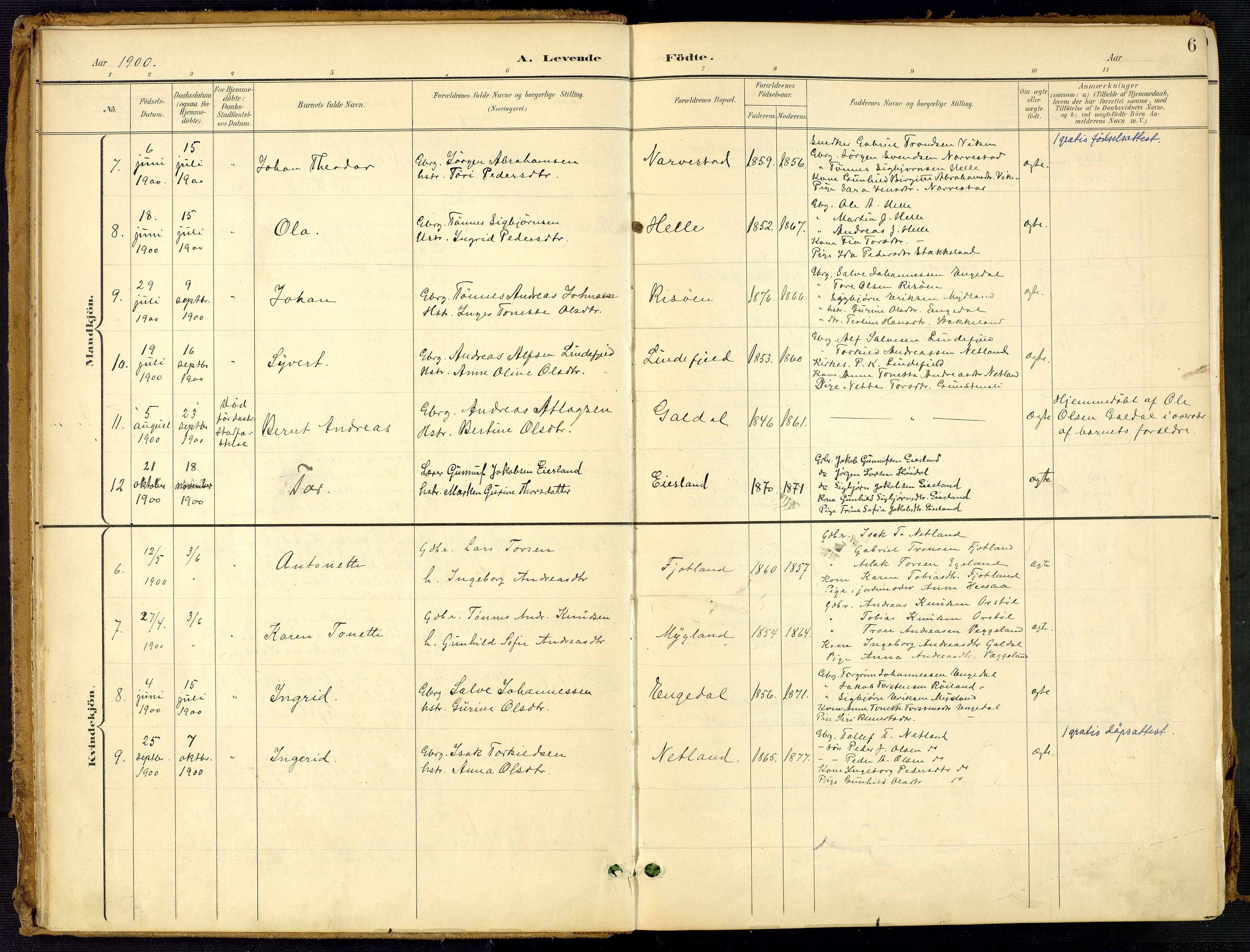 Fjotland sokneprestkontor, SAK/1111-0010/F/Fa/L0003: Parish register (official) no. A 3, 1899-1917, p. 6