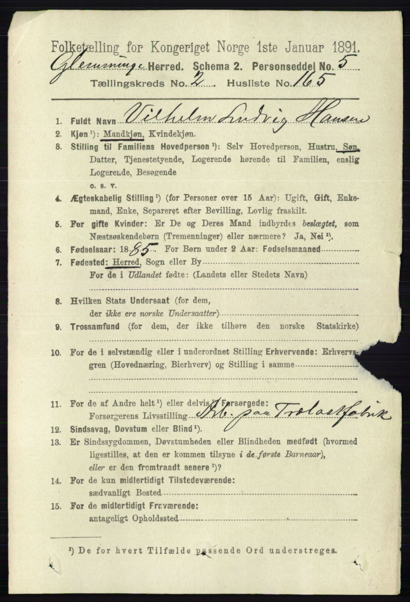 RA, 1891 census for 0132 Glemmen, 1891, p. 1786