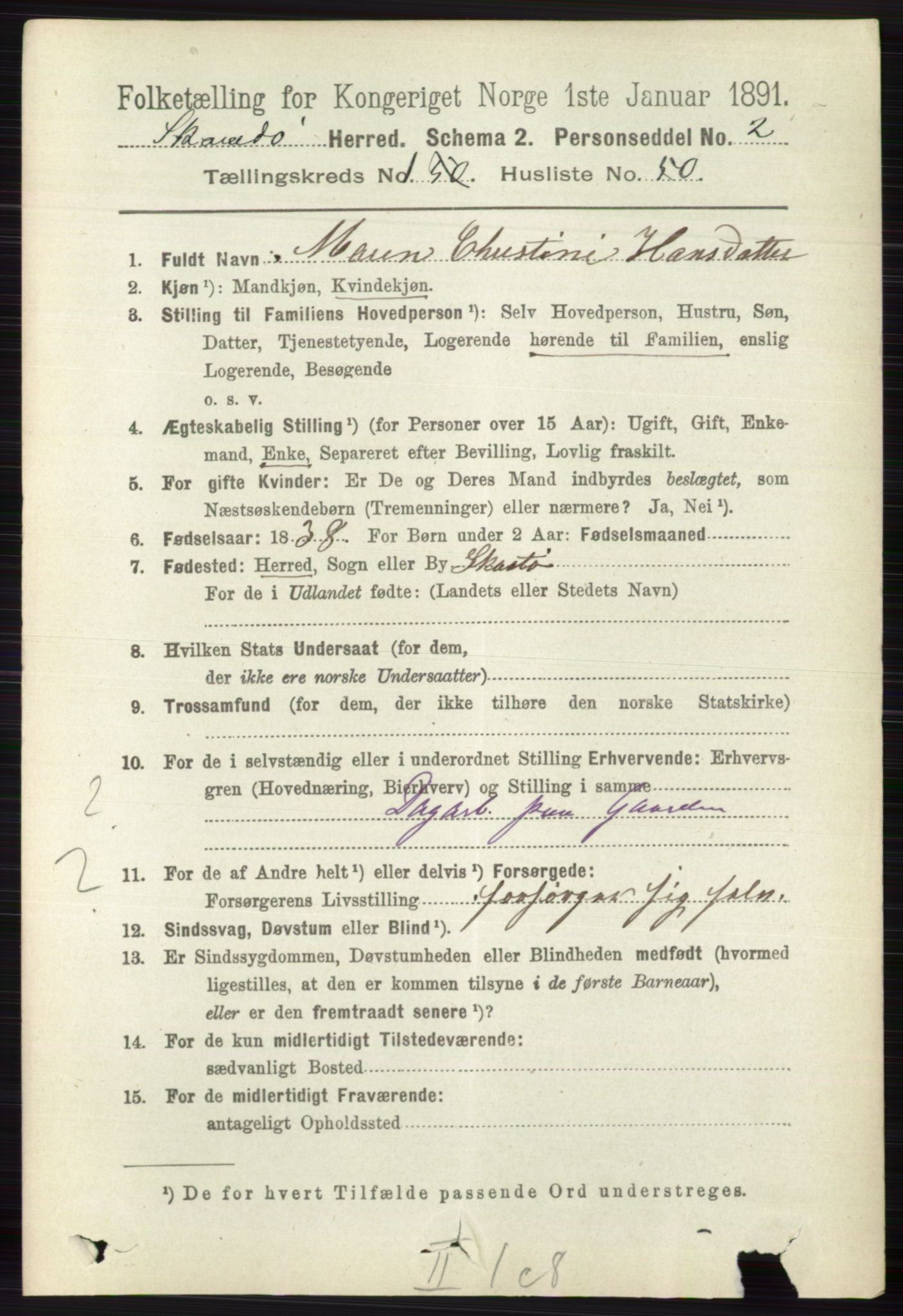 RA, 1891 census for 0815 Skåtøy, 1891, p. 381