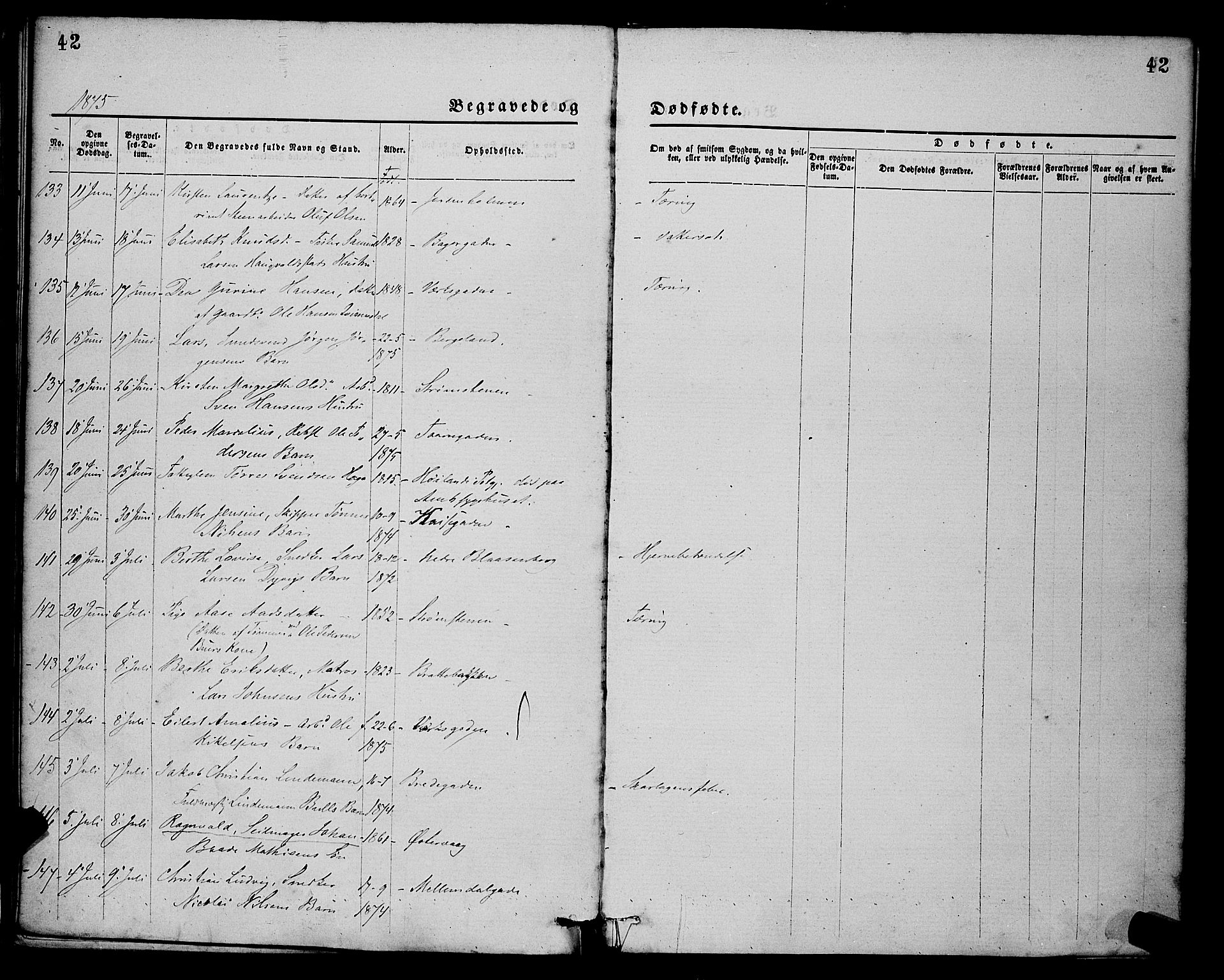 St. Petri sokneprestkontor, AV/SAST-A-101813/001/30/30BA/L0012: Parish register (official) no. A 12, 1873-1878, p. 42