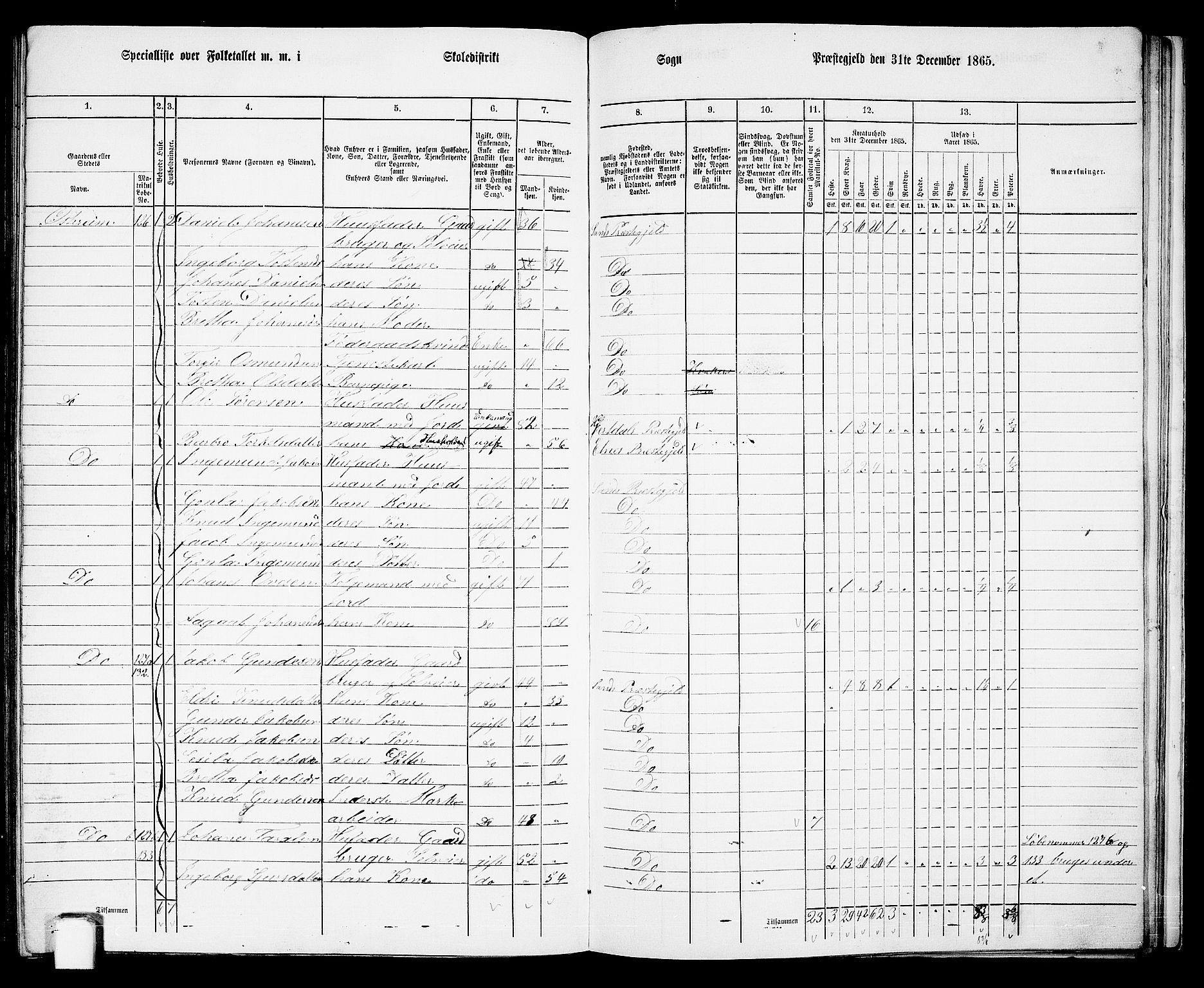 RA, 1865 census for Sand, 1865, p. 132