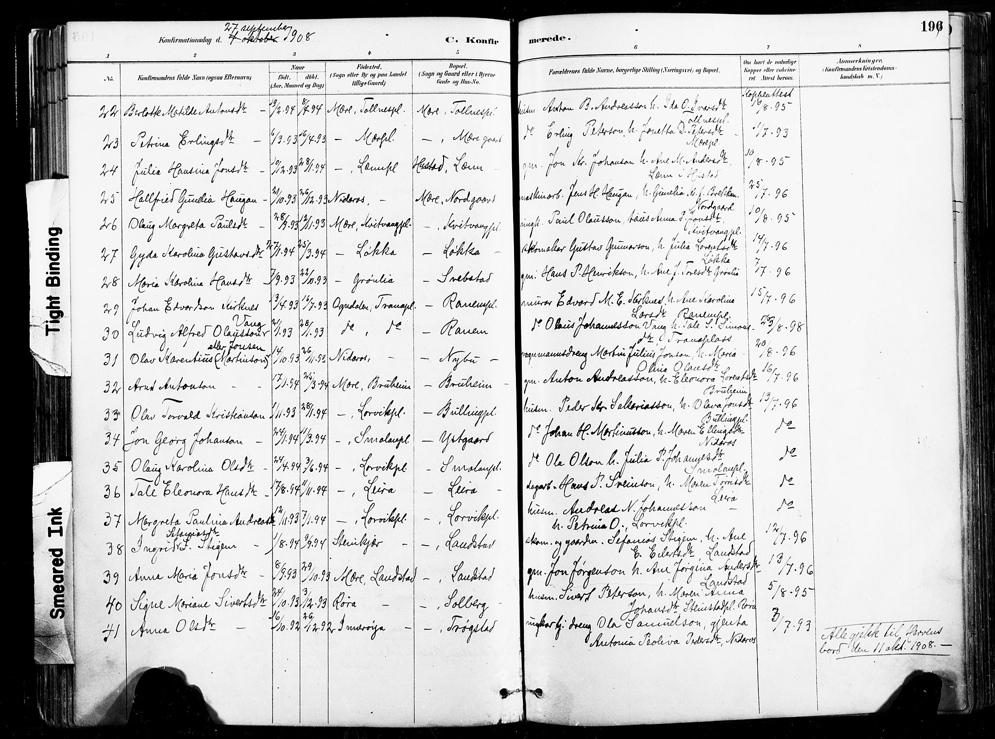 Ministerialprotokoller, klokkerbøker og fødselsregistre - Nord-Trøndelag, SAT/A-1458/735/L0351: Parish register (official) no. 735A10, 1884-1908, p. 196