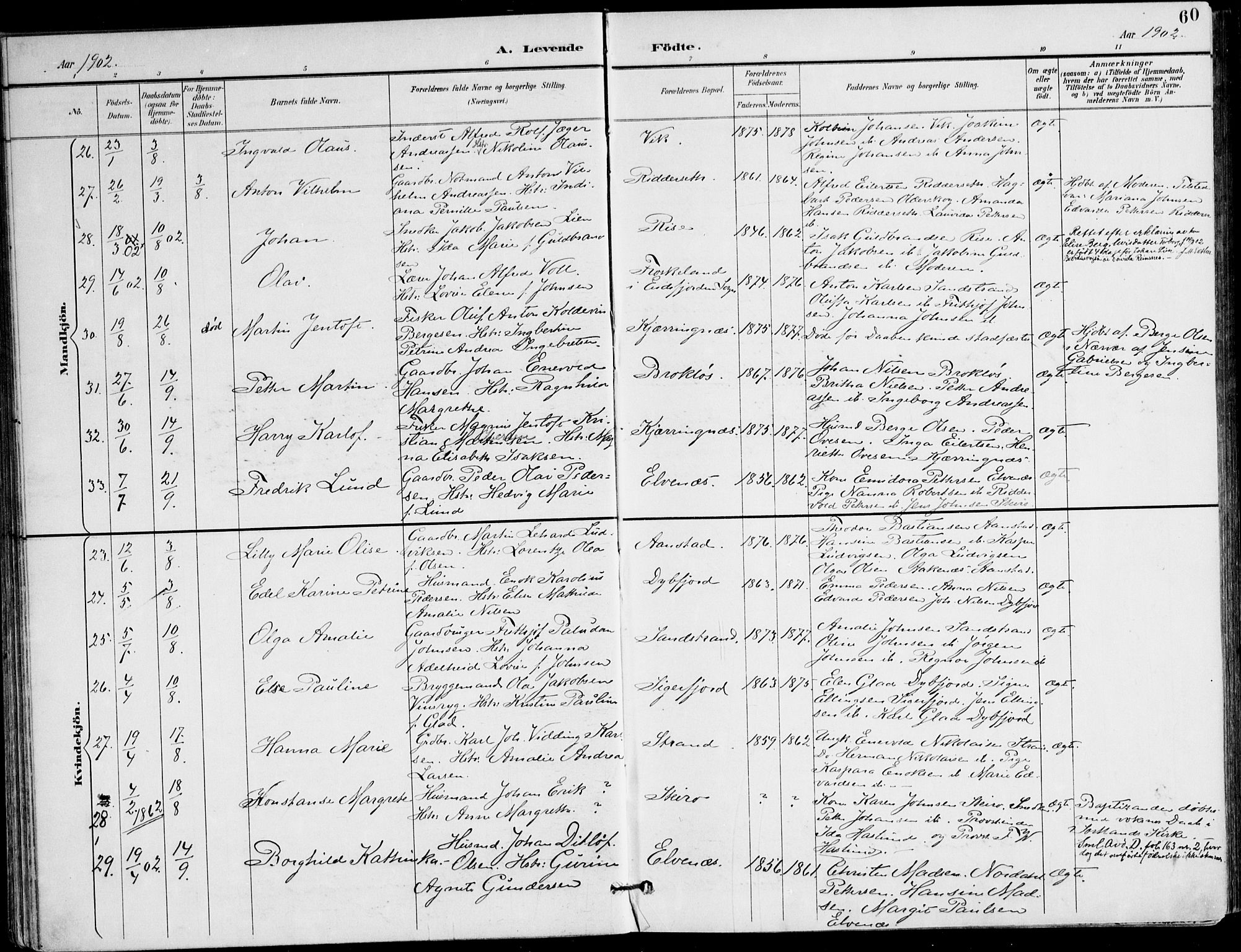 Ministerialprotokoller, klokkerbøker og fødselsregistre - Nordland, AV/SAT-A-1459/895/L1372: Parish register (official) no. 895A07, 1894-1914, p. 60