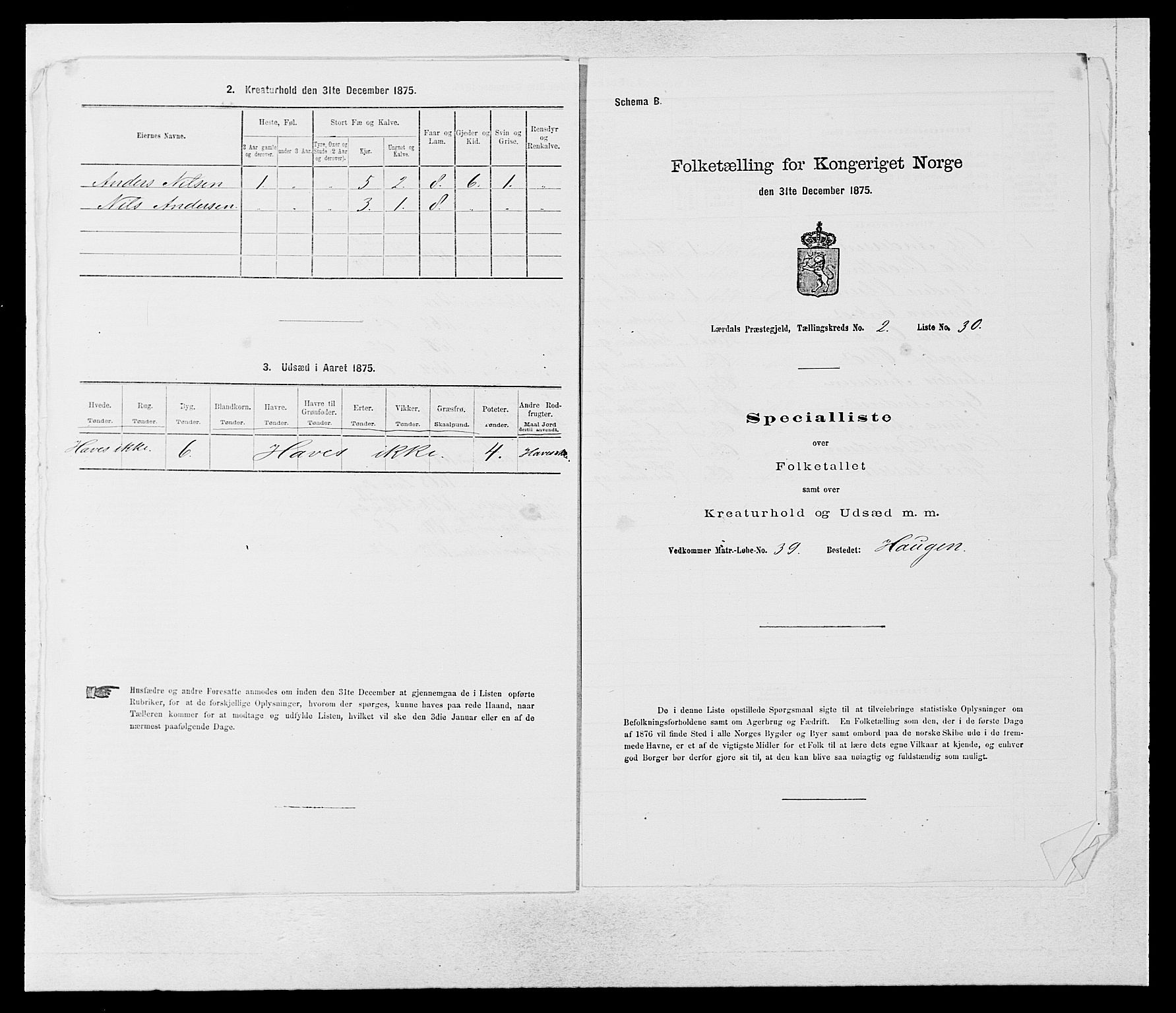 SAB, 1875 census for 1422P Lærdal, 1875, p. 1061