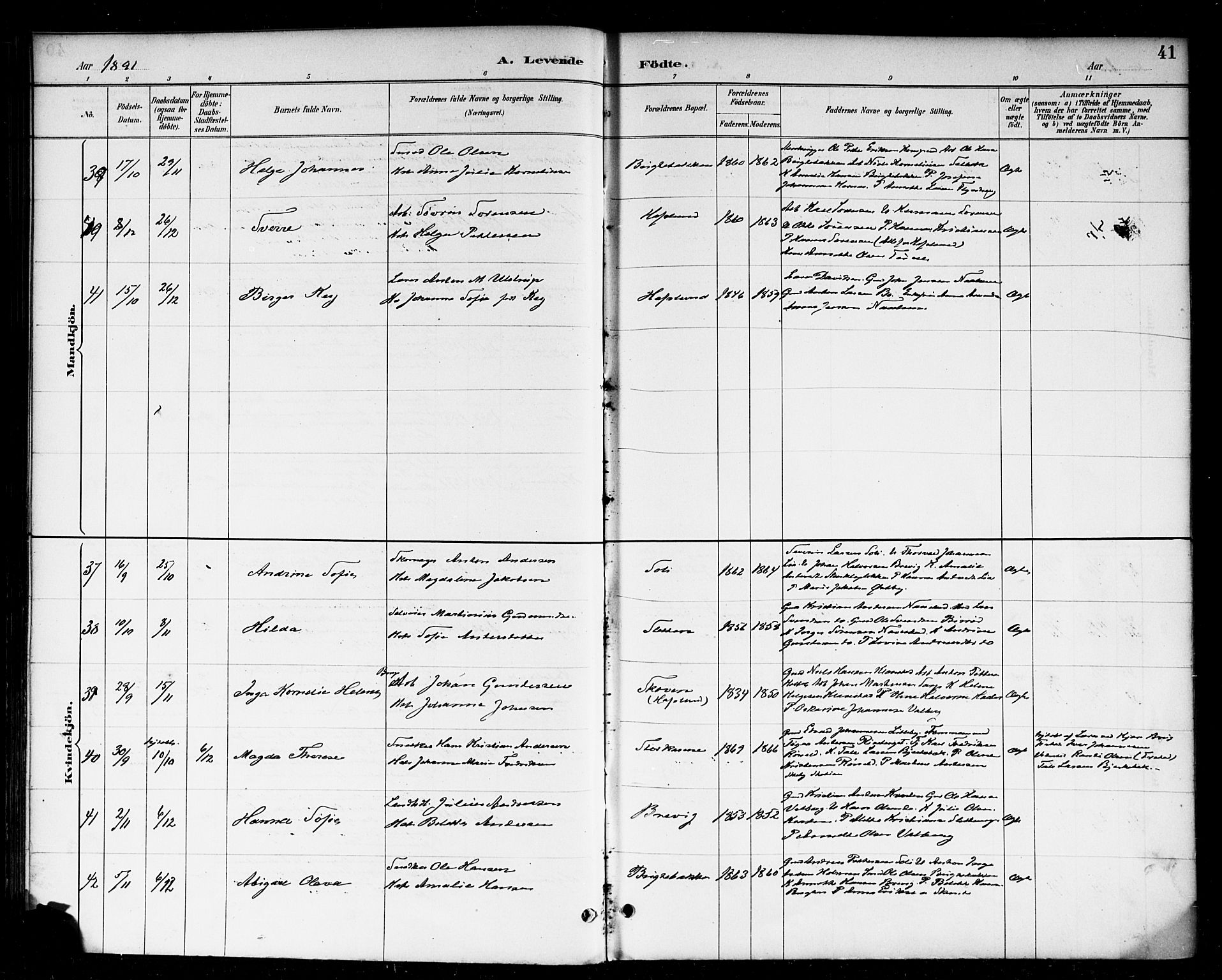 Skjeberg prestekontor Kirkebøker, AV/SAO-A-10923/F/Fa/L0009: Parish register (official) no. I 9, 1886-1897, p. 41