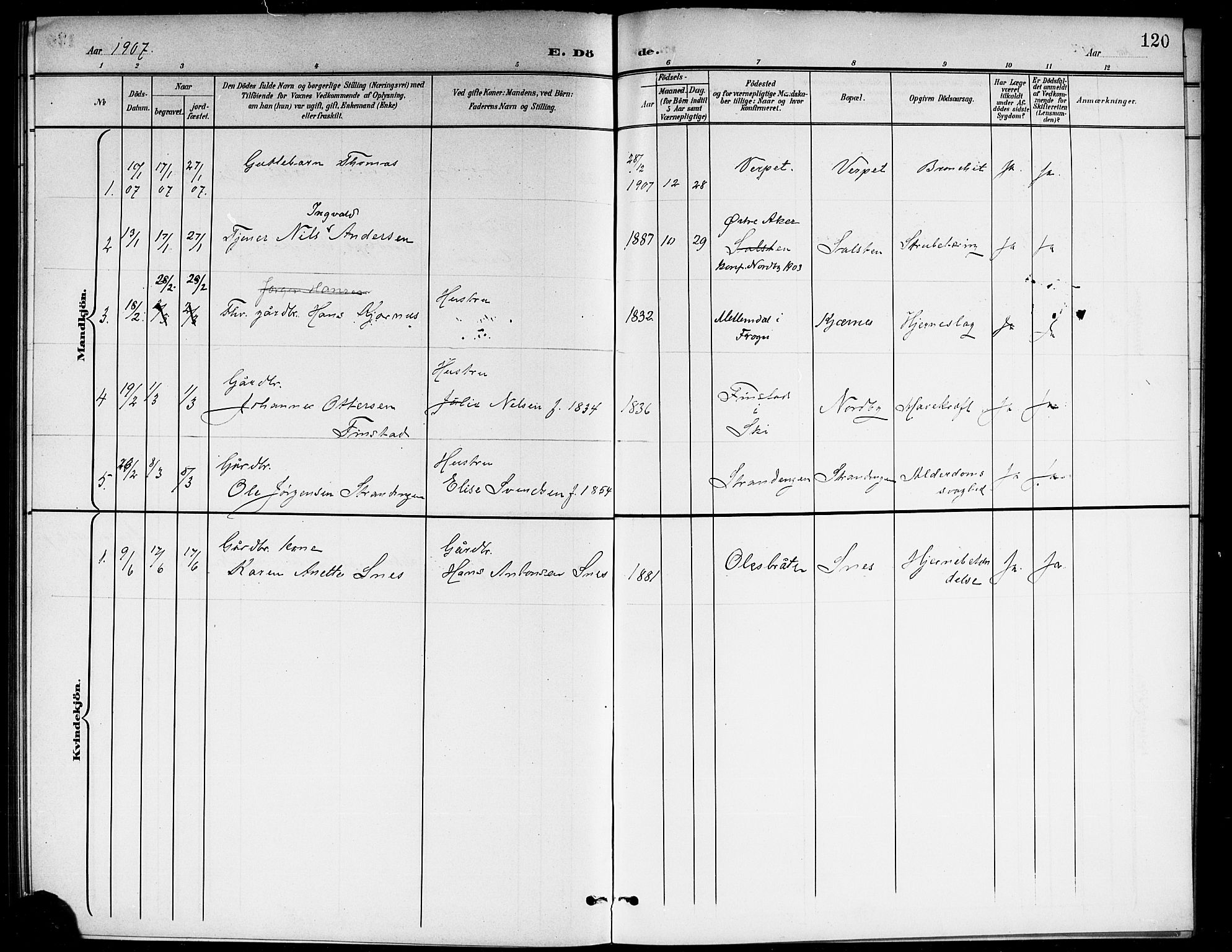 Ås prestekontor Kirkebøker, SAO/A-10894/G/Gb/L0001: Parish register (copy) no. II 1, 1901-1920, p. 120