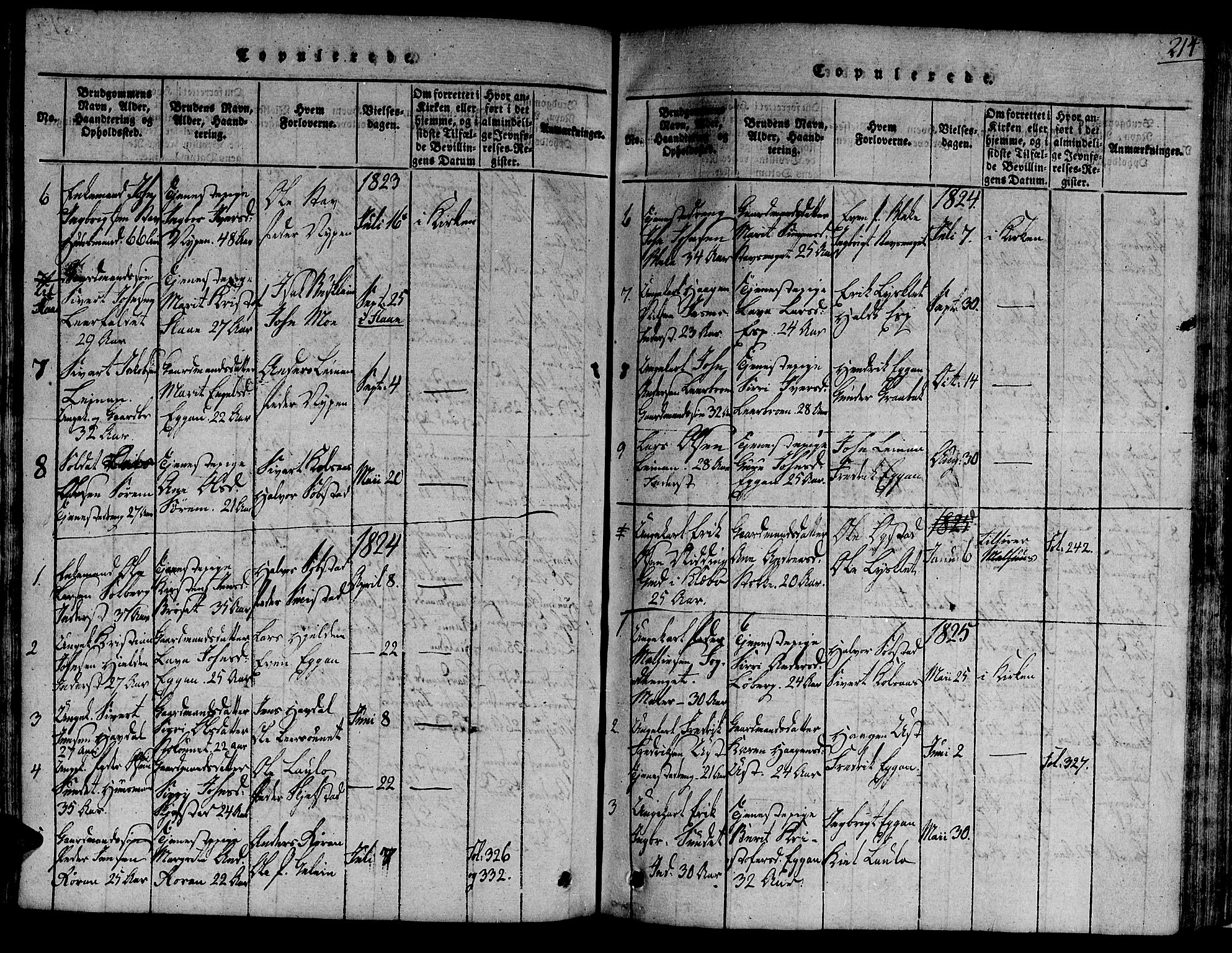 Ministerialprotokoller, klokkerbøker og fødselsregistre - Sør-Trøndelag, SAT/A-1456/691/L1067: Parish register (official) no. 691A03 /3, 1816-1826, p. 214