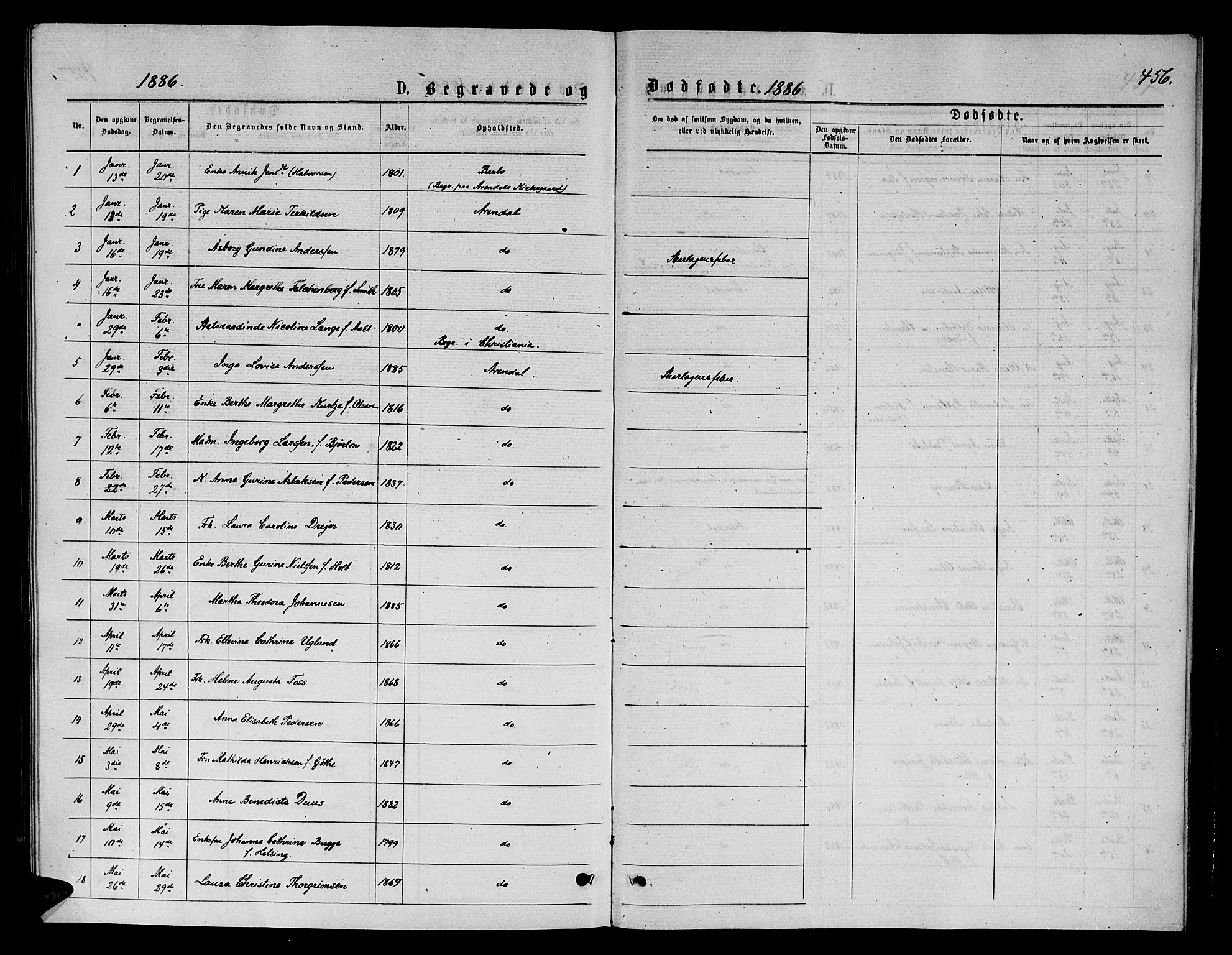 Arendal sokneprestkontor, Trefoldighet, AV/SAK-1111-0040/F/Fb/L0005: Parish register (copy) no. B 5, 1874-1888, p. 456