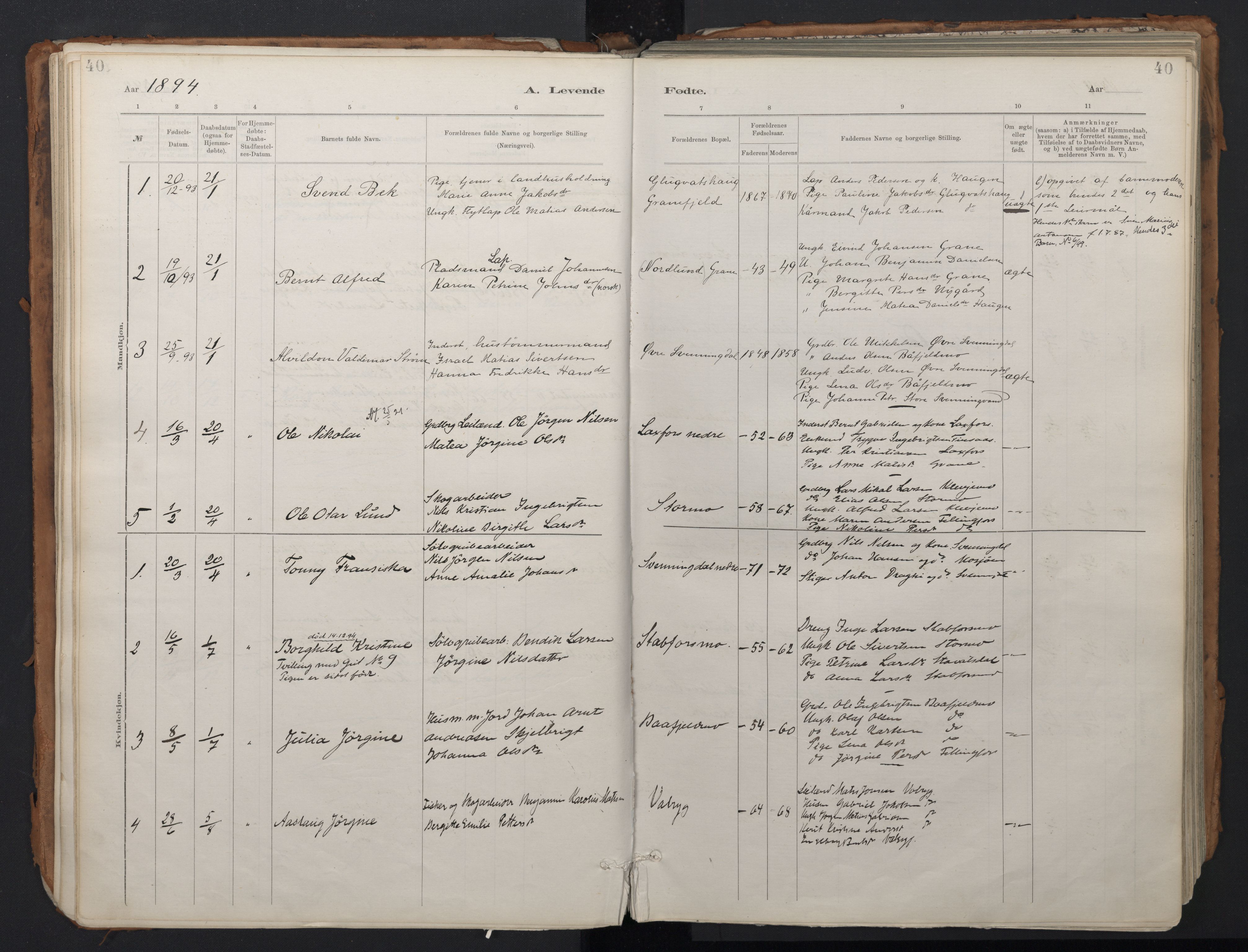 Ministerialprotokoller, klokkerbøker og fødselsregistre - Nordland, SAT/A-1459/824/L0338: Parish register (official) no. 824A01, 1880-1915, p. 40