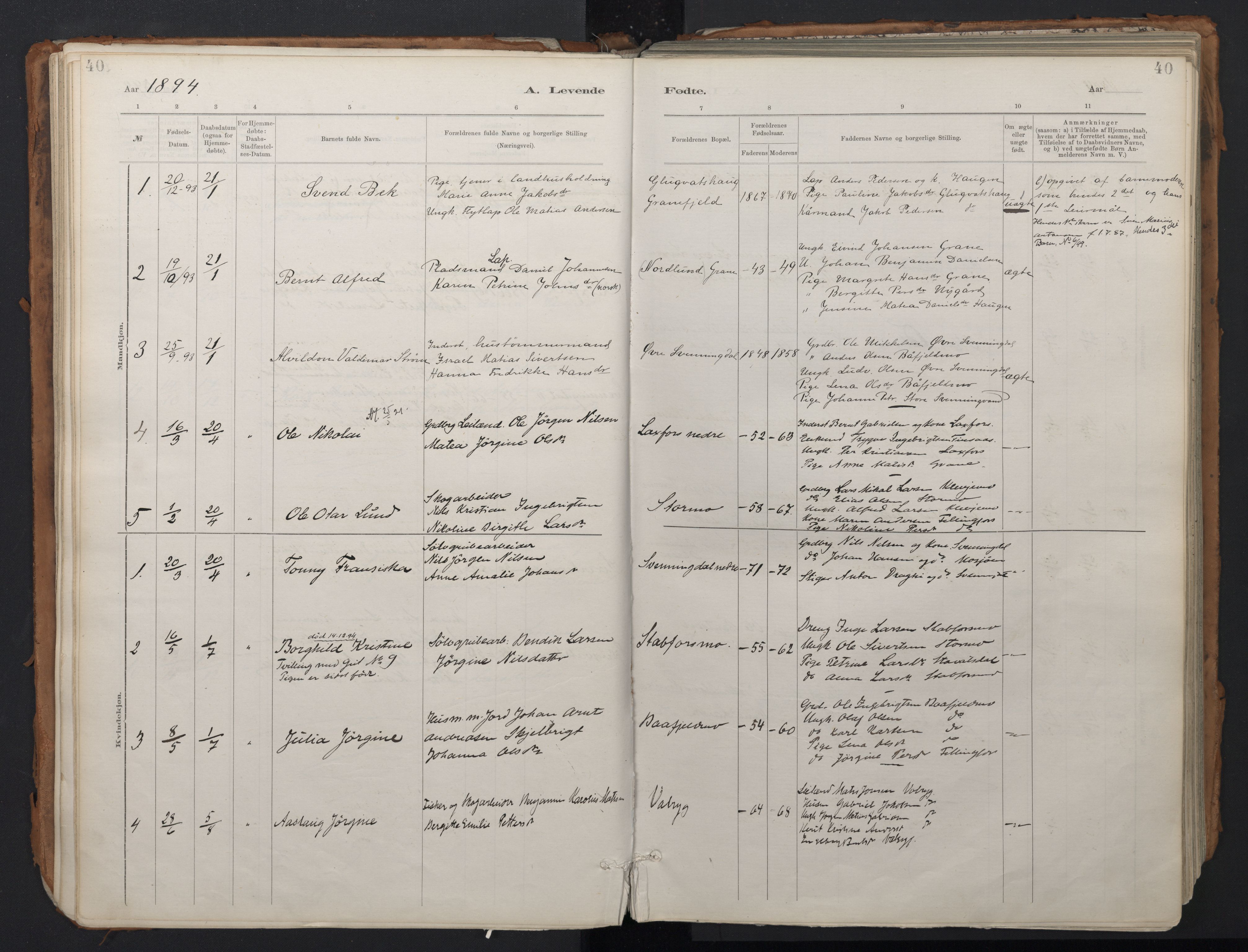 Ministerialprotokoller, klokkerbøker og fødselsregistre - Nordland, AV/SAT-A-1459/824/L0338: Parish register (official) no. 824A01, 1880-1915, p. 40