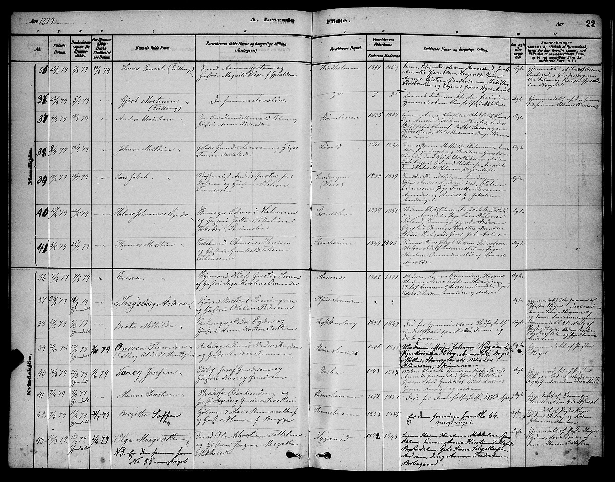 Barbu sokneprestkontor, AV/SAK-1111-0003/F/Fb/L0001: Parish register (copy) no. B 1, 1878-1890, p. 22