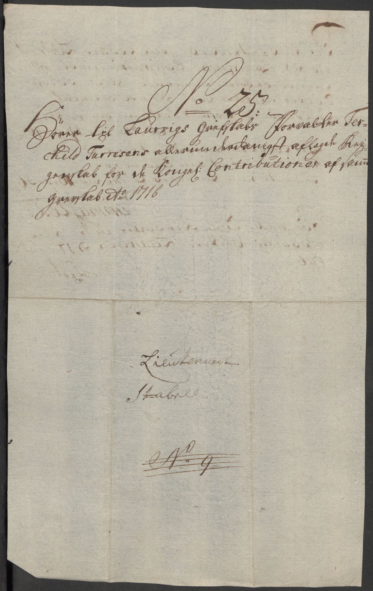 Rentekammeret inntil 1814, Reviderte regnskaper, Fogderegnskap, AV/RA-EA-4092/R33/L1987: Fogderegnskap Larvik grevskap, 1716-1717, p. 236