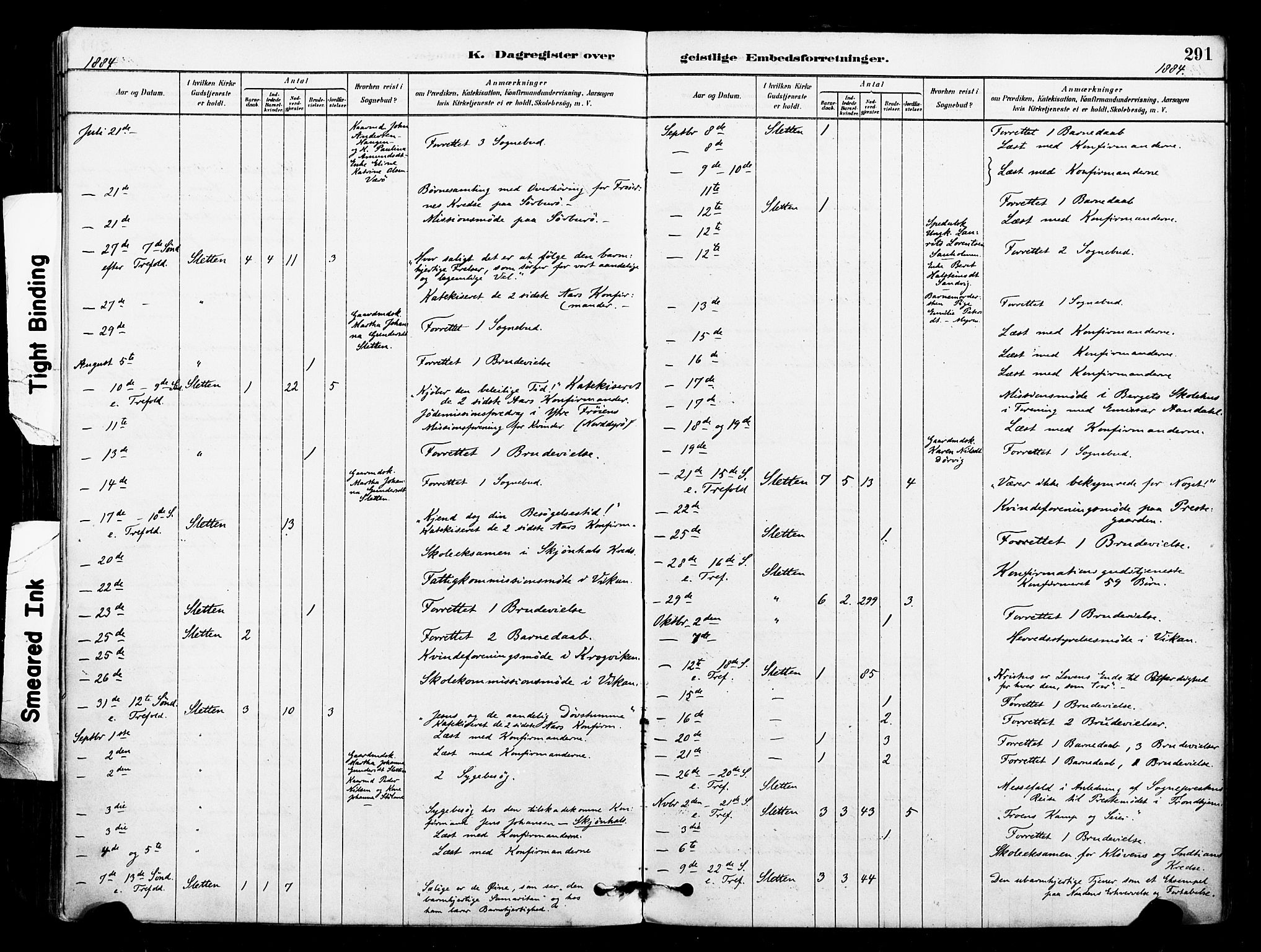 Ministerialprotokoller, klokkerbøker og fødselsregistre - Sør-Trøndelag, AV/SAT-A-1456/640/L0578: Parish register (official) no. 640A03, 1879-1889, p. 291