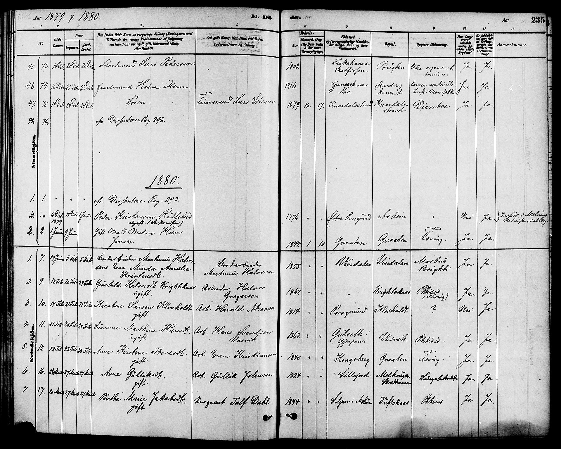 Solum kirkebøker, SAKO/A-306/F/Fa/L0009: Parish register (official) no. I 9, 1877-1887, p. 235