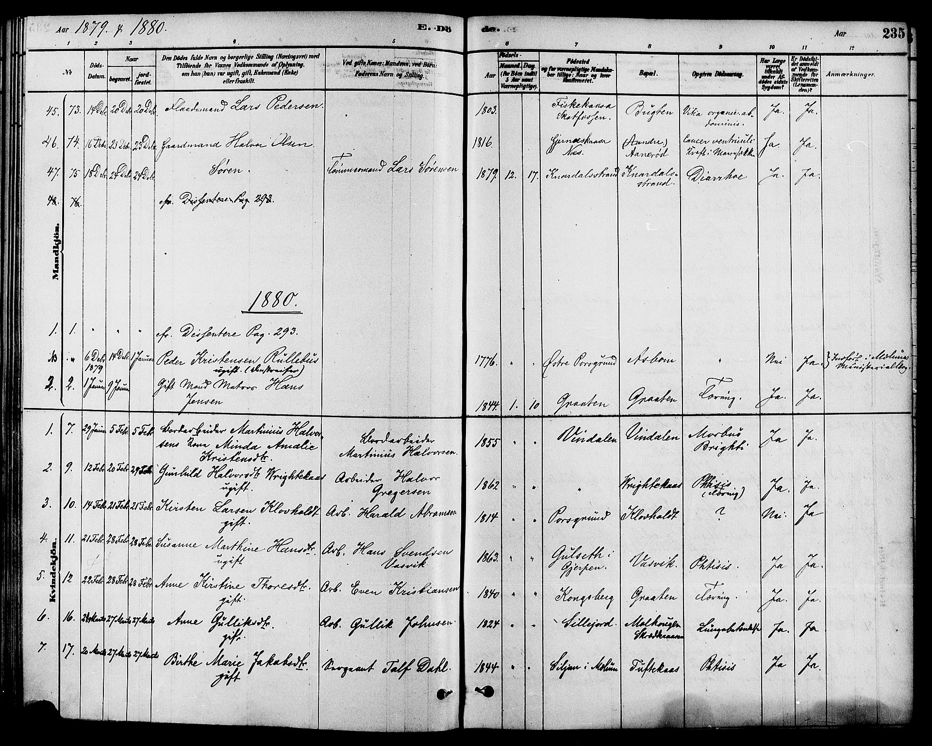 Solum kirkebøker, AV/SAKO-A-306/F/Fa/L0009: Parish register (official) no. I 9, 1877-1887, p. 235