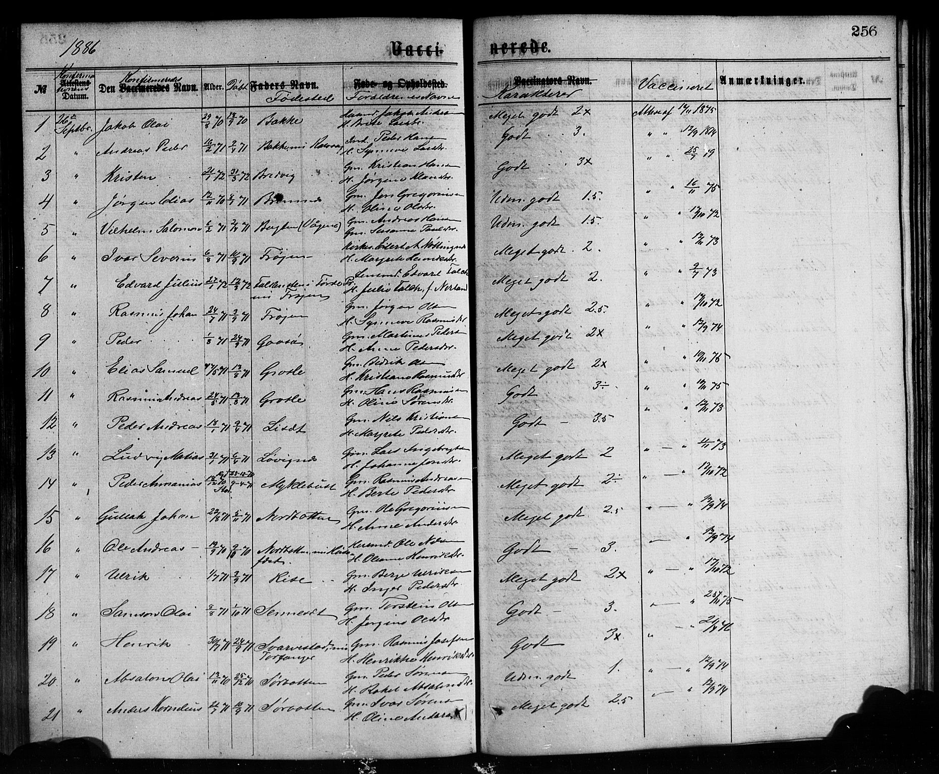 Bremanger sokneprestembete, SAB/A-82201/H/Hab/Haba/L0002: Parish register (copy) no. A 2, 1866-1889, p. 256