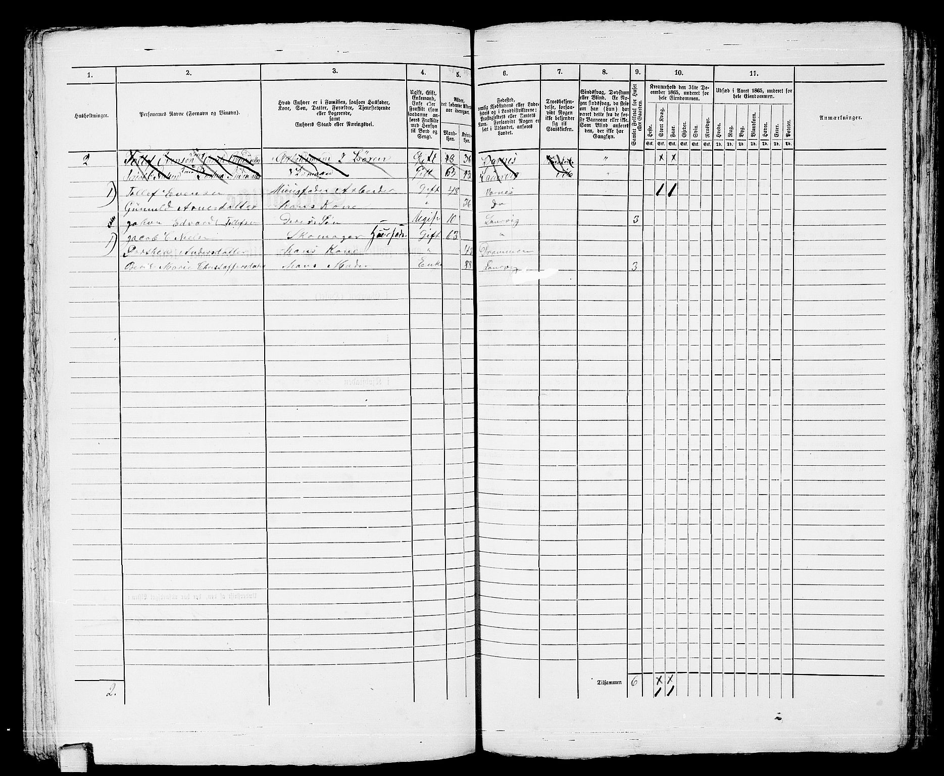 RA, 1865 census for Larvik, 1865, p. 294