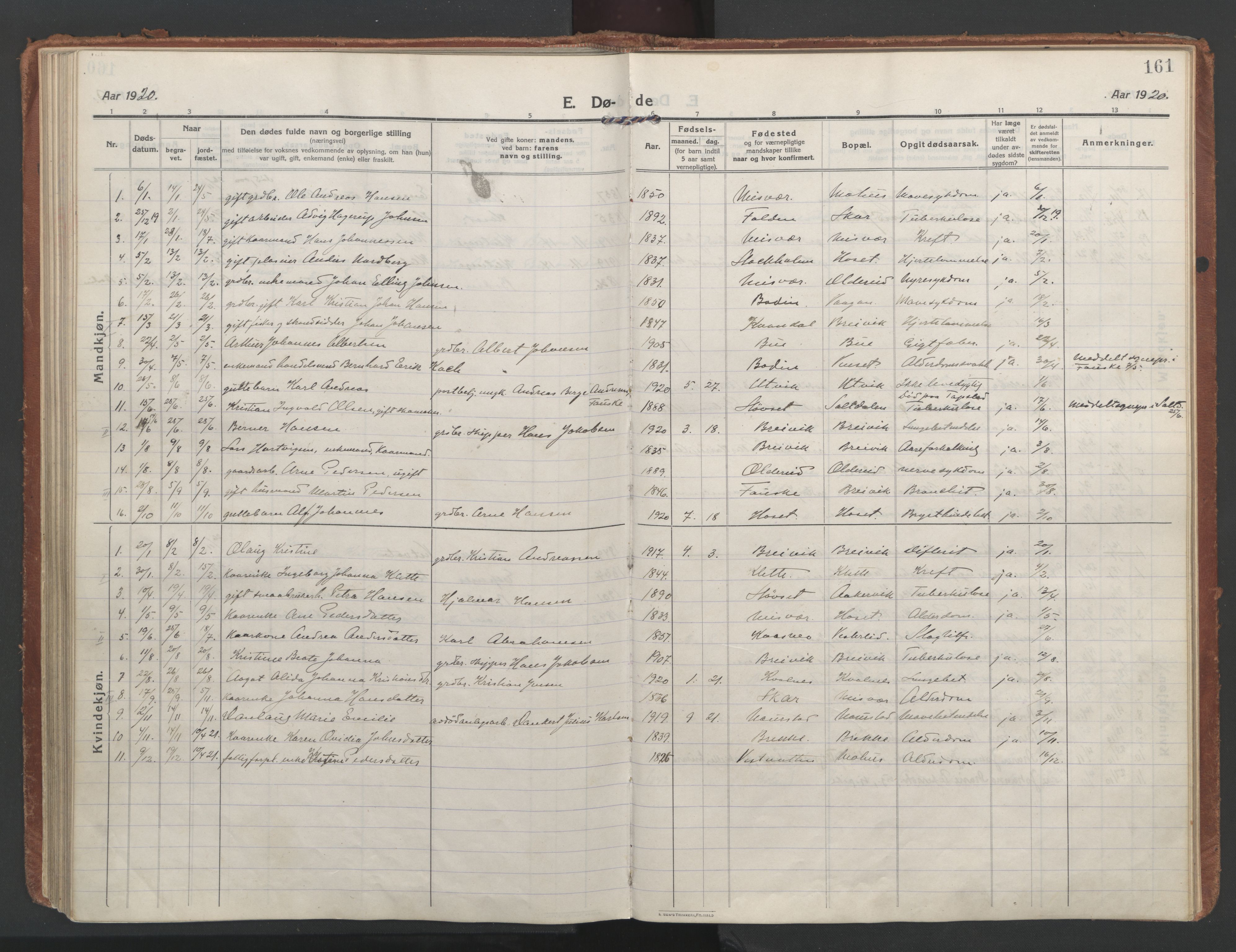 Ministerialprotokoller, klokkerbøker og fødselsregistre - Nordland, SAT/A-1459/852/L0748: Parish register (official) no. 852A18, 1913-1932, p. 161