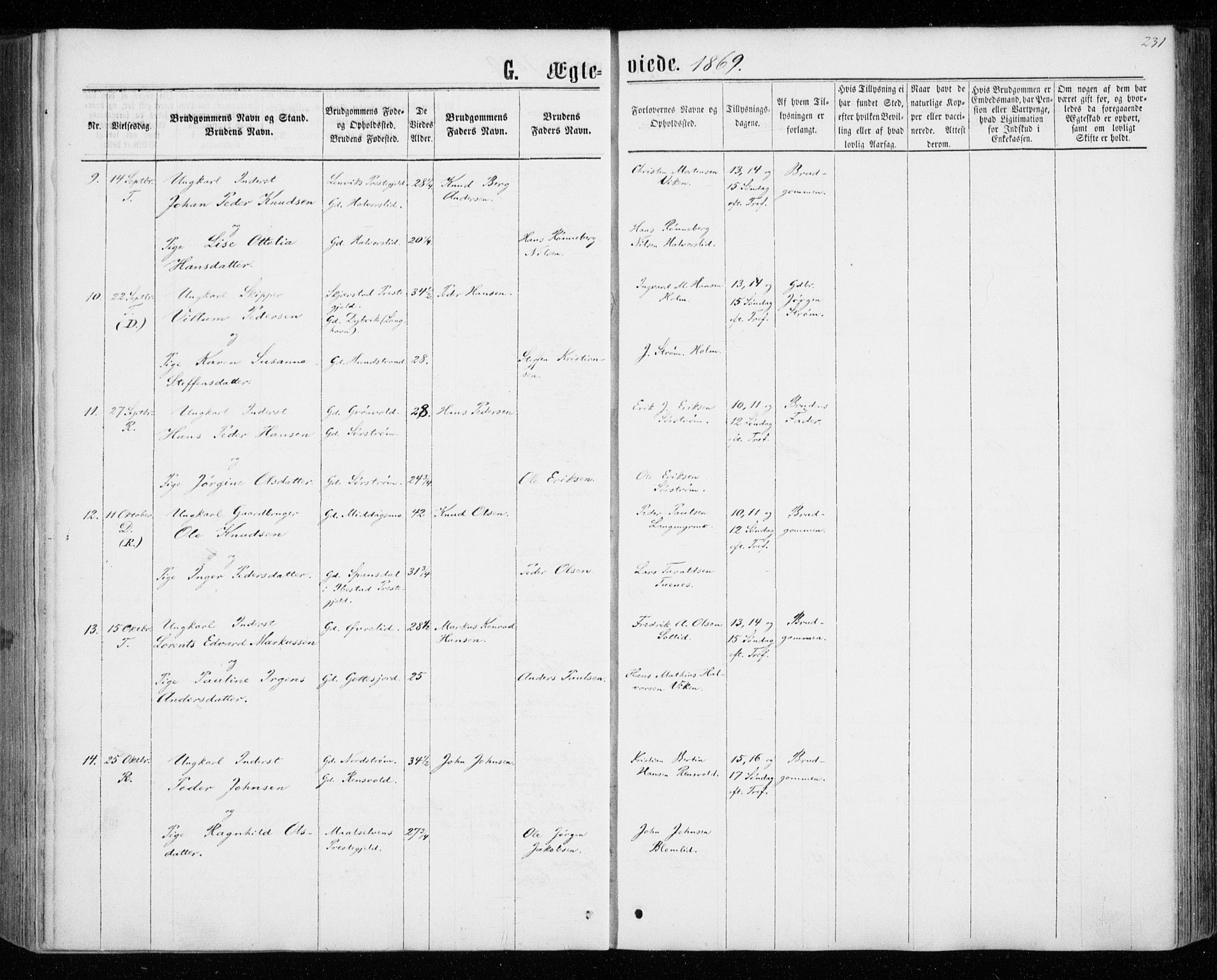 Tranøy sokneprestkontor, SATØ/S-1313/I/Ia/Iaa/L0008kirke: Parish register (official) no. 8, 1867-1877, p. 231