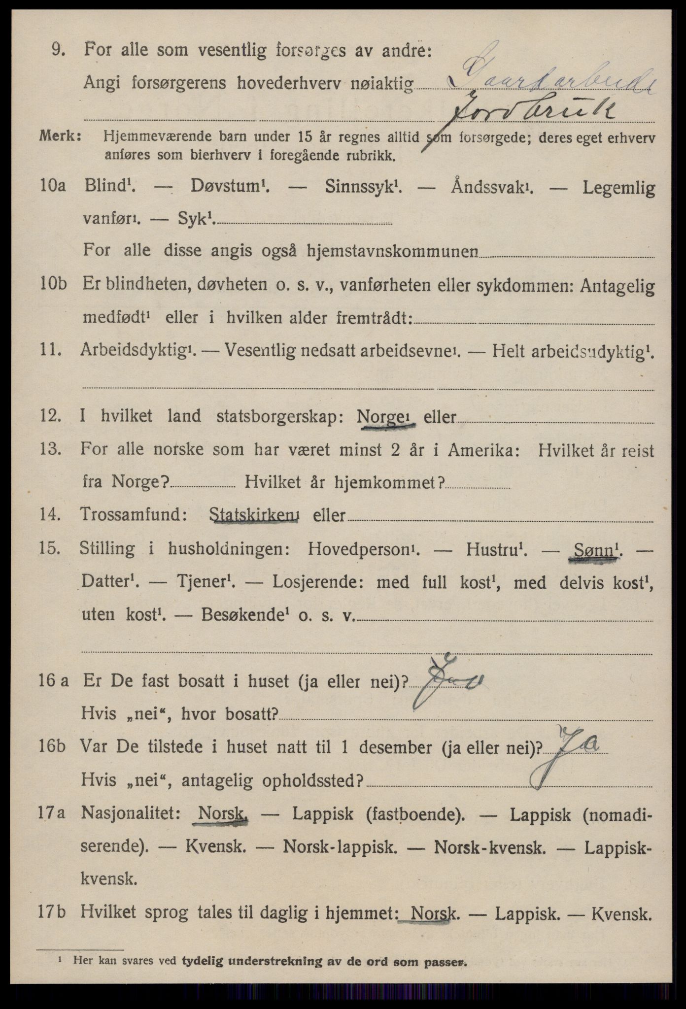 SAT, 1920 census for Horg, 1920, p. 1257