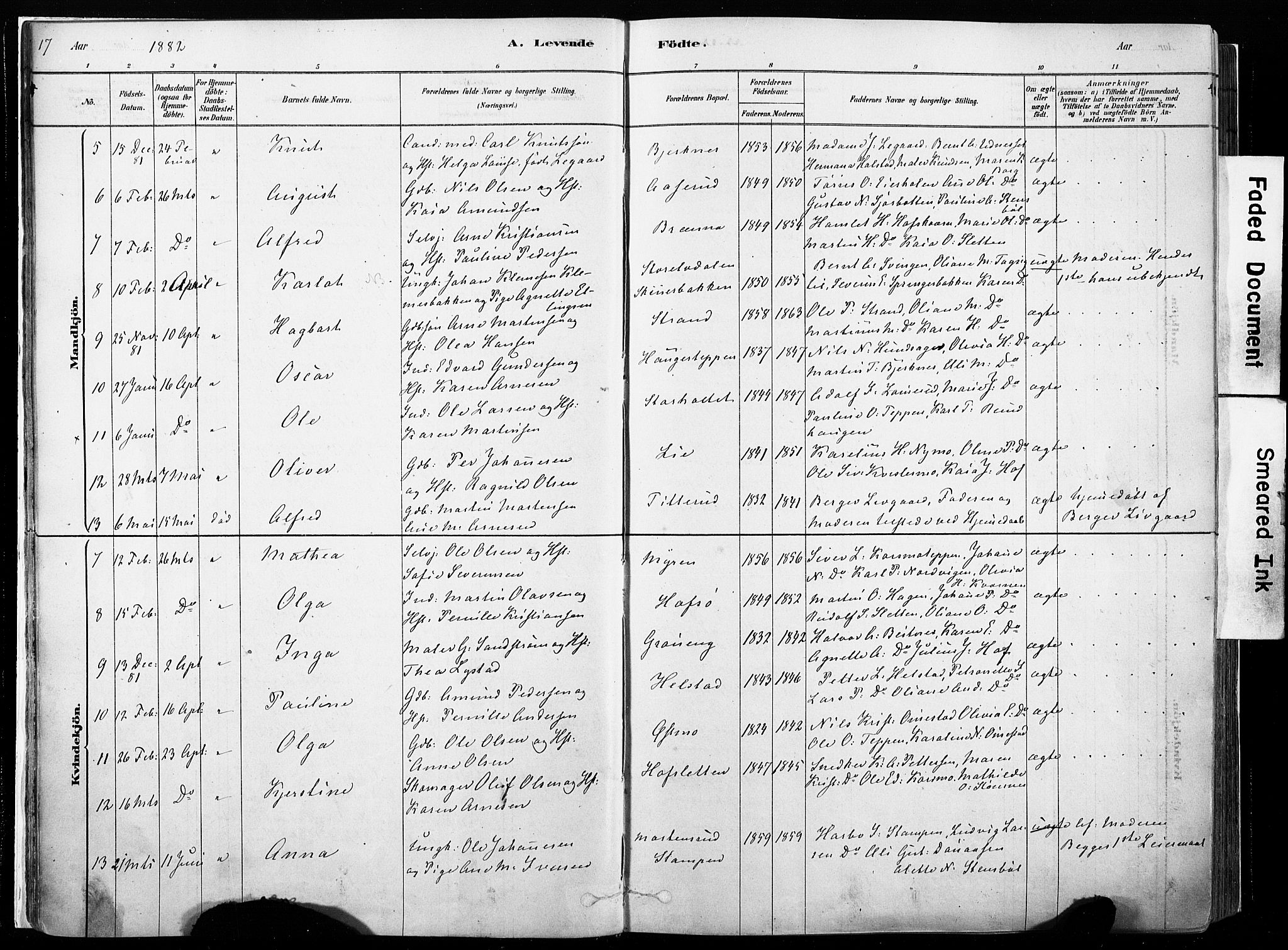 Hof prestekontor, SAH/PREST-038/H/Ha/Haa/L0010: Parish register (official) no. 10, 1878-1909, p. 17